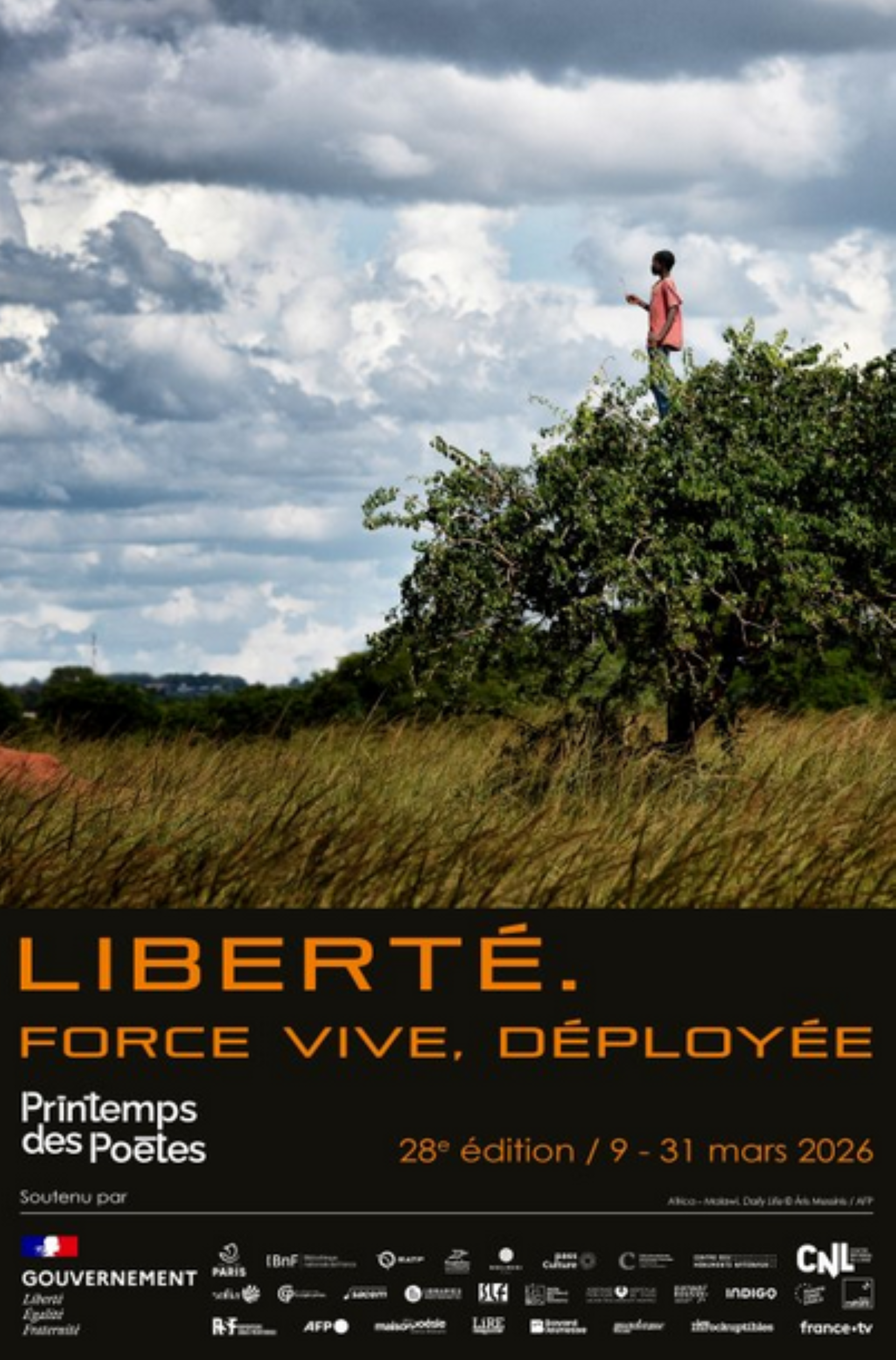 Anne Slacik_Hyères - Médiathèque Hyères