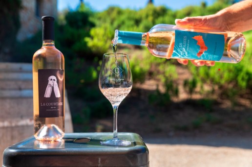 Oenology workshop at the Muse du Niel | Hyres | Provence Mditerrane