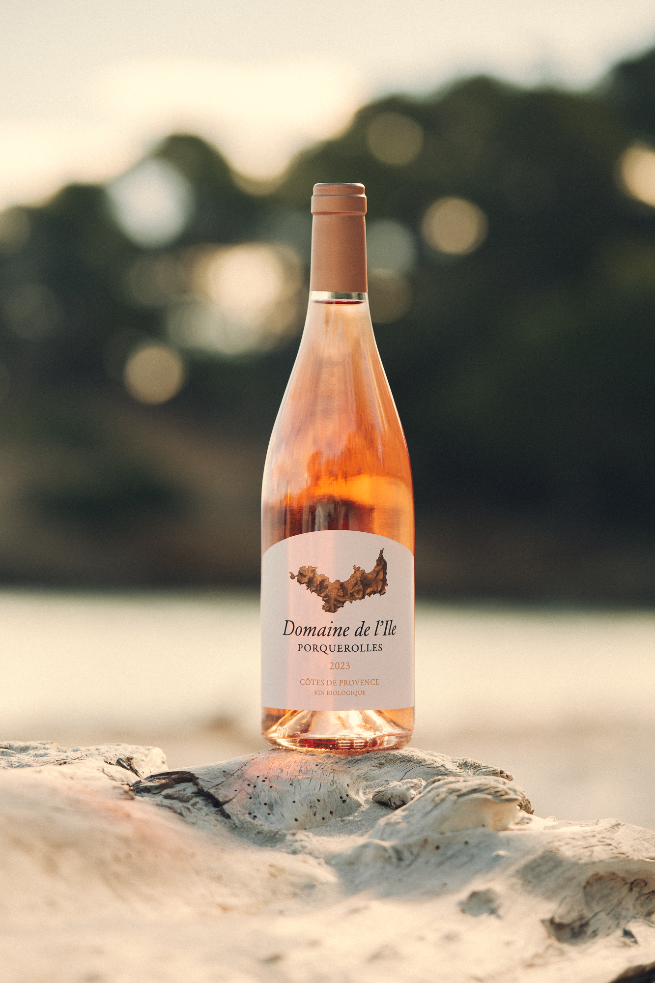 Vin du Domaine de l'Ile - Erea AZURMENDI