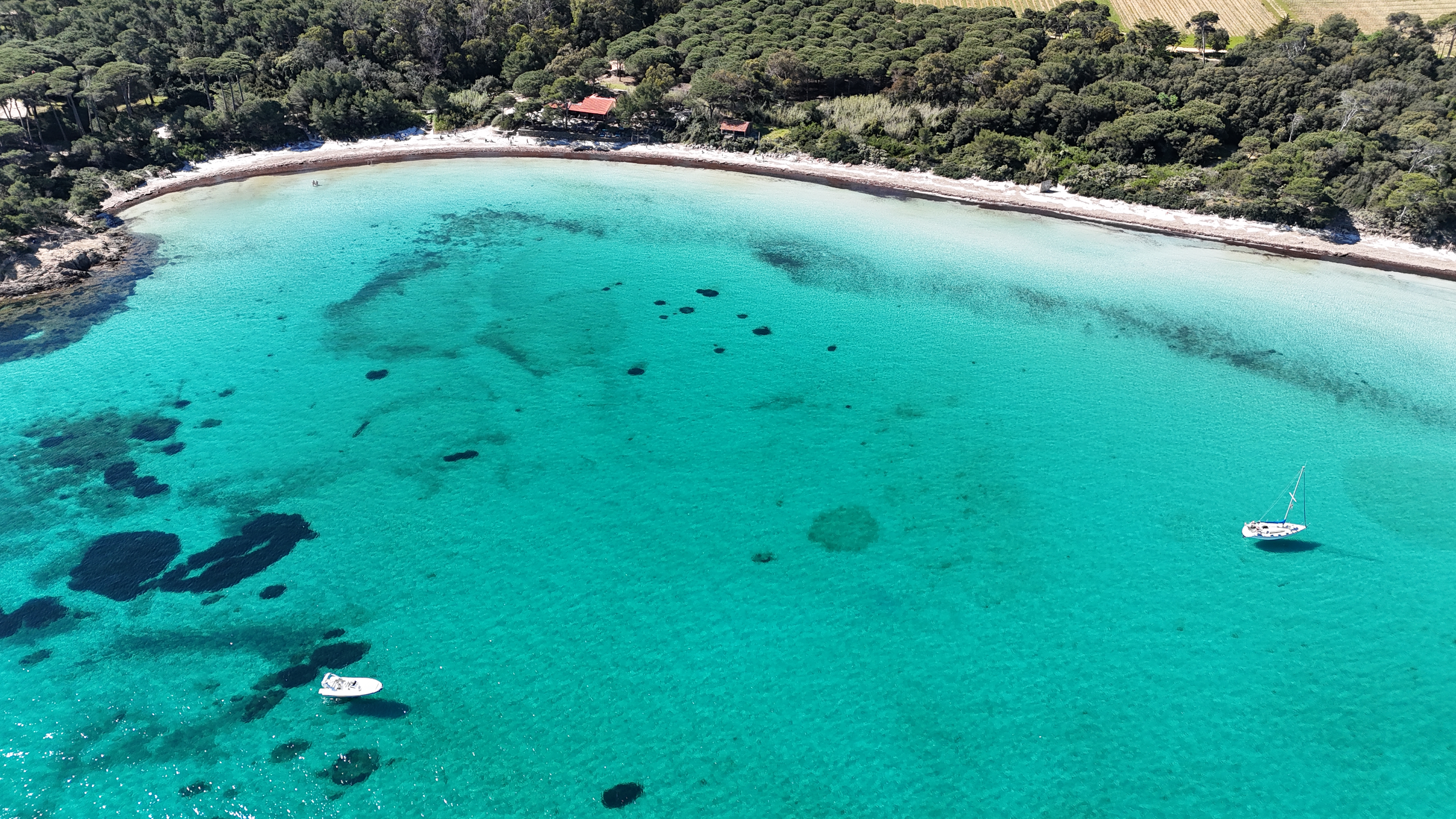 PLAGE ARGENT  PORQUEROLLES - Route du Sud - Hyères