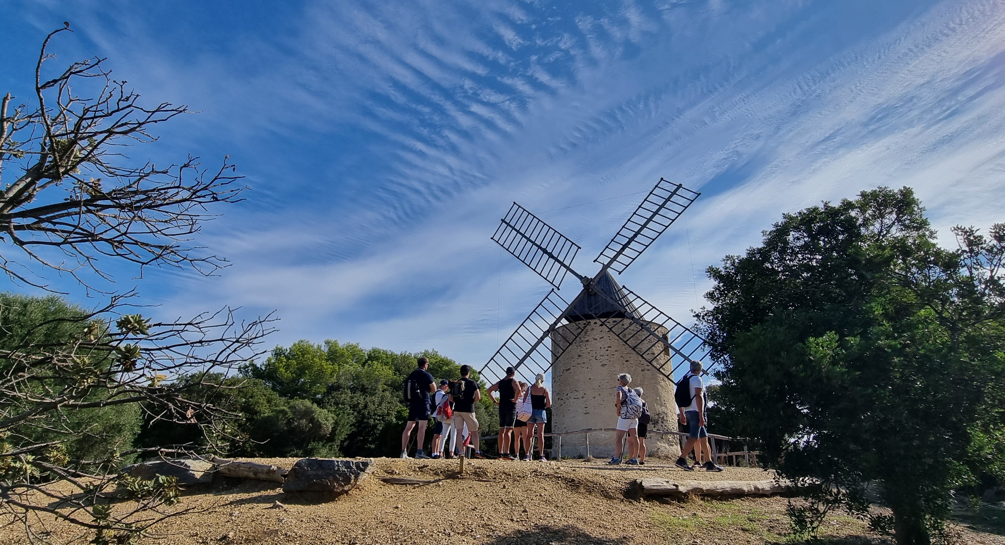 Balade nature à Porquerolles - Faune et flore d'ici... et d'ailleurs_Hyères - Frédéric Segoura