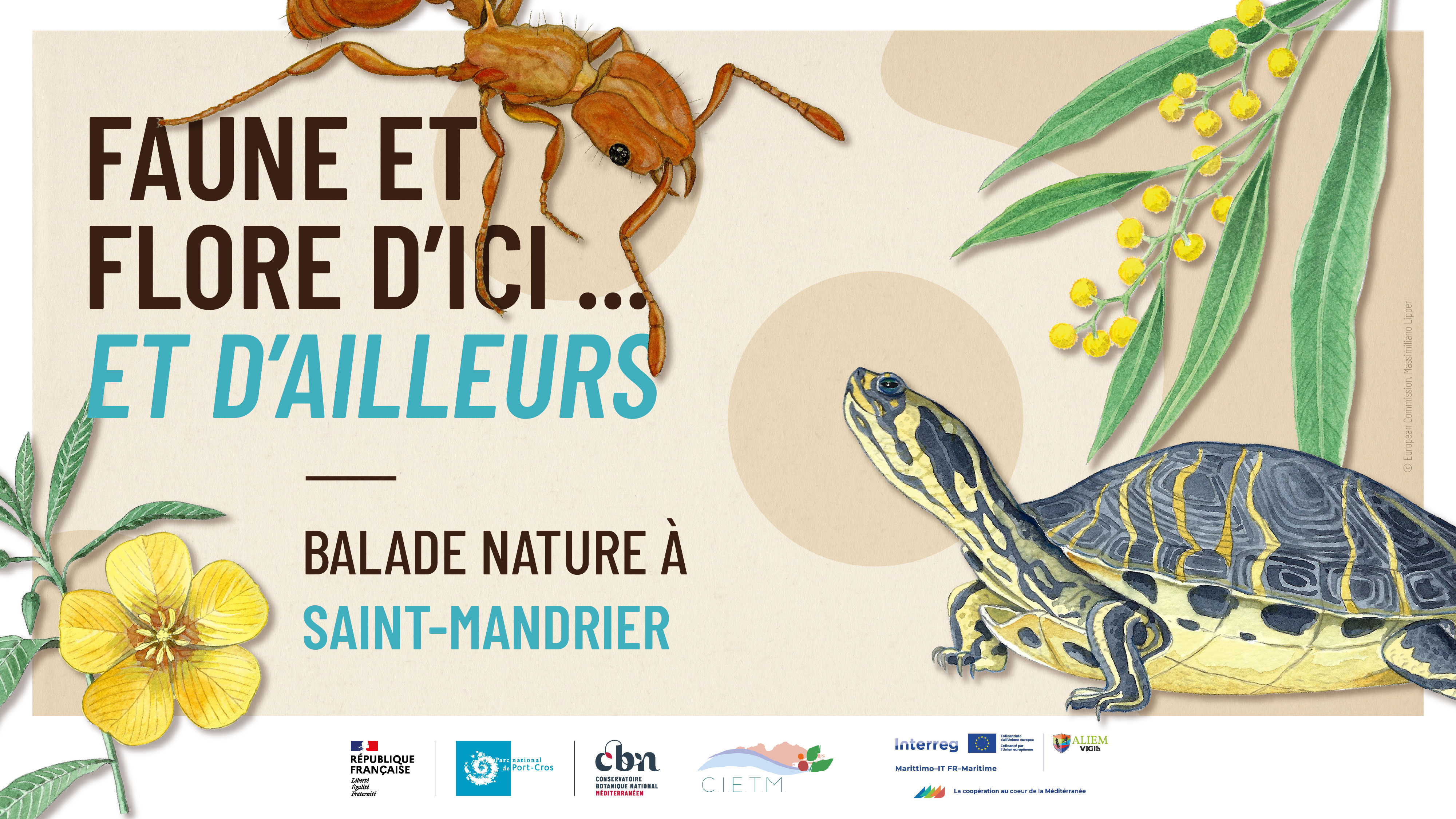 Balade à Saint-Mandrier - Faune et flore d'ici... et d'ailleurs_Saint-Mandrier-sur-Mer - CBN Méditerranéen / European Commission, Massimiliano Lipper