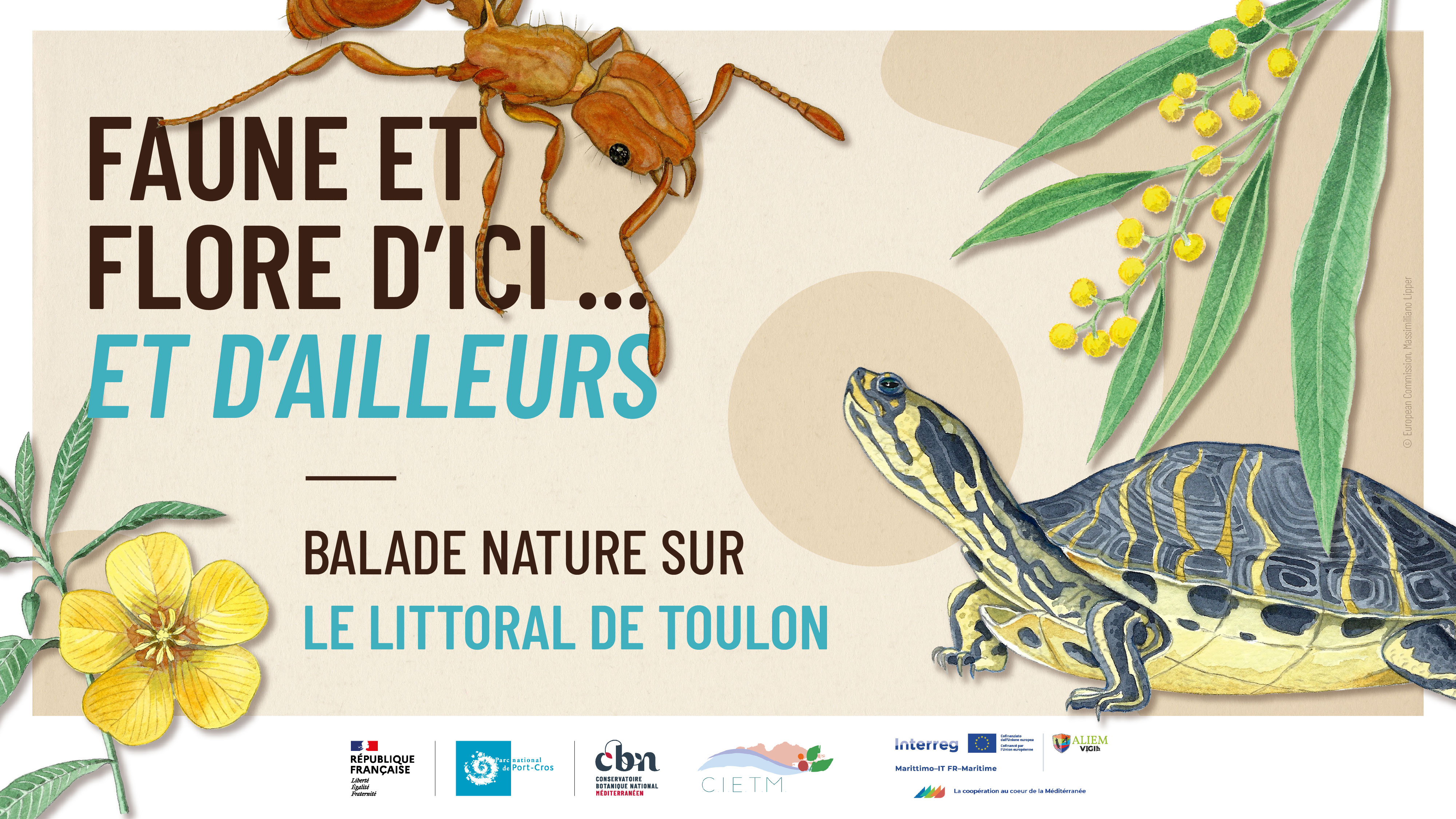 Balade à Toulon - Faune et flore d'ici... et d'ailleurs_Toulon - CBN Méditerranéen / European Commission, Massimiliano Lipper