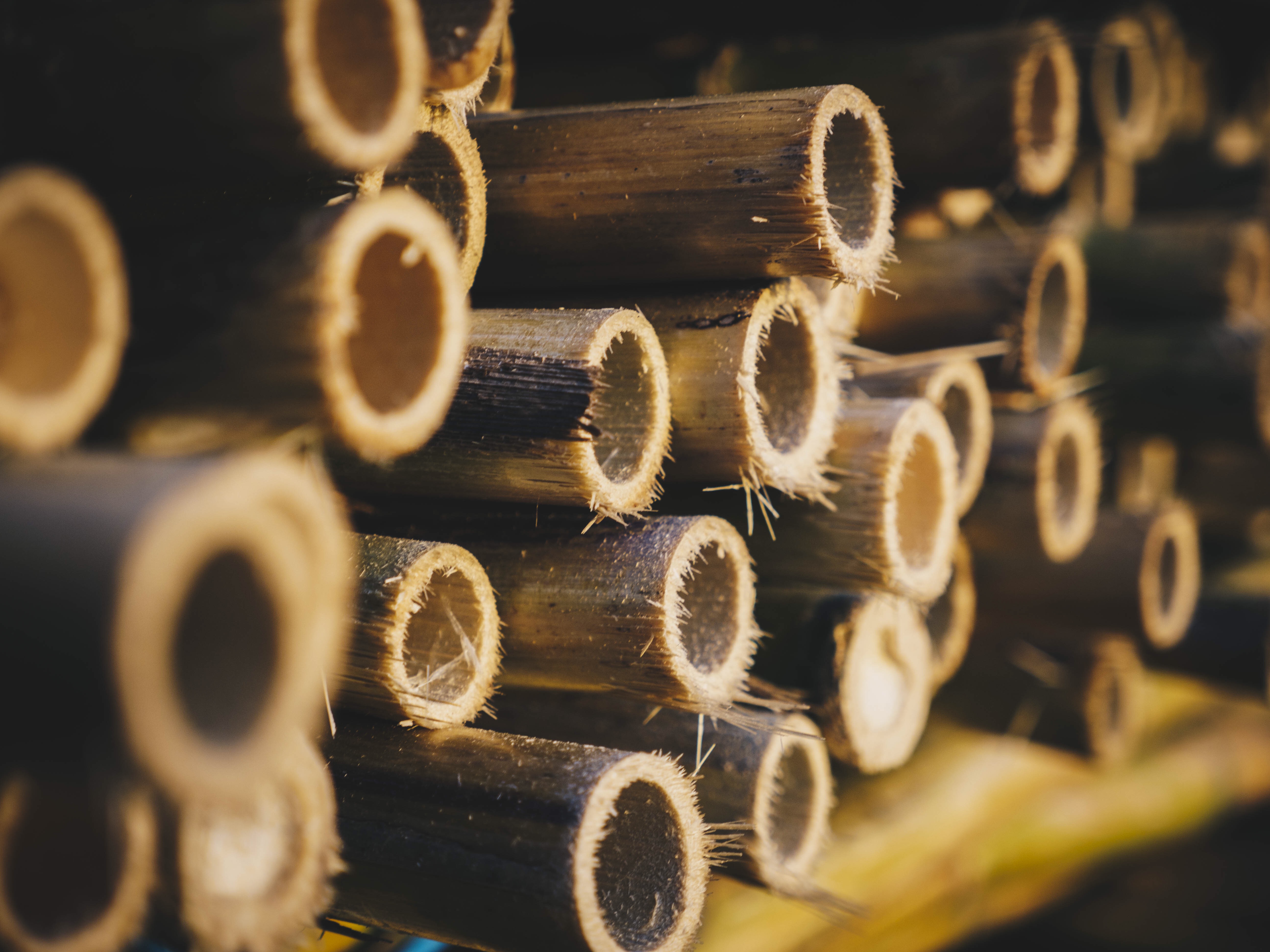 Fabrique d'anches - Mathias Callènes - CALLENES FILMS’