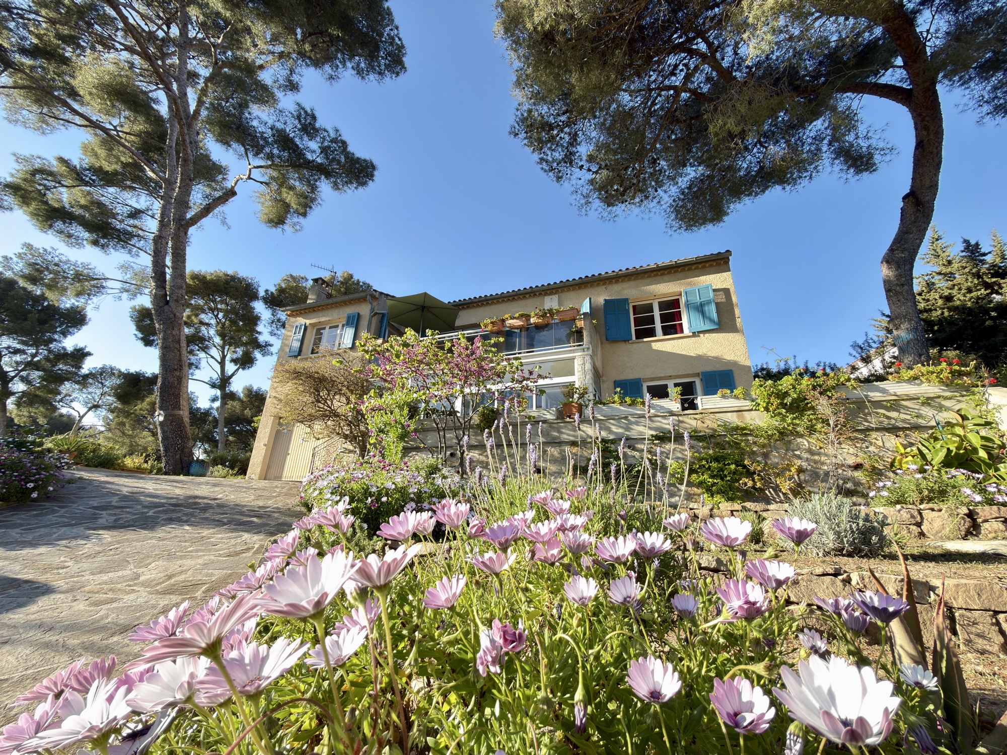 La Villa Jasmin - S. JASMIN