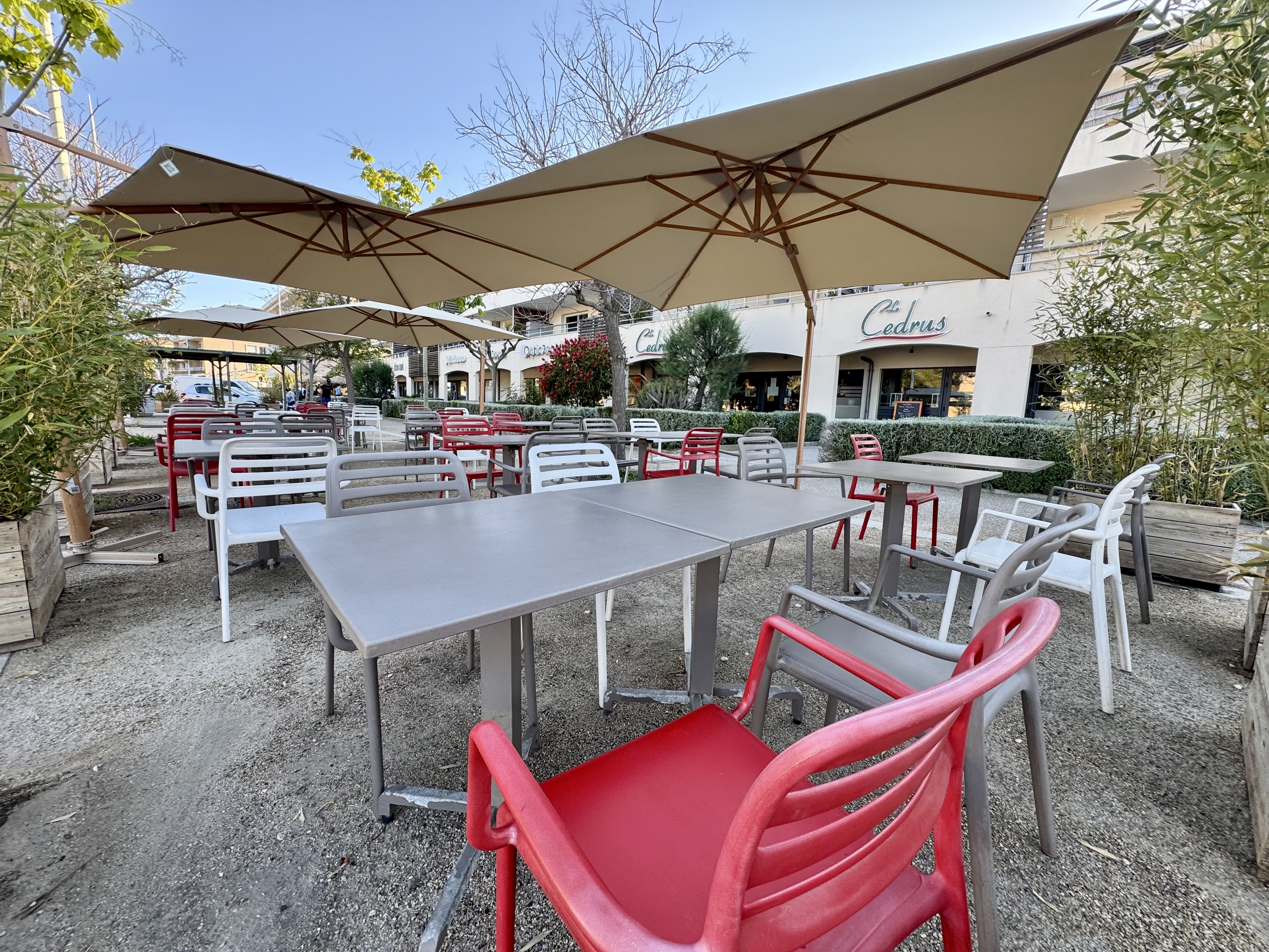 Le Cedrus restaurant libanais Les Sablettes La Seyne sur Mer - Restaurant Le Cedrus
