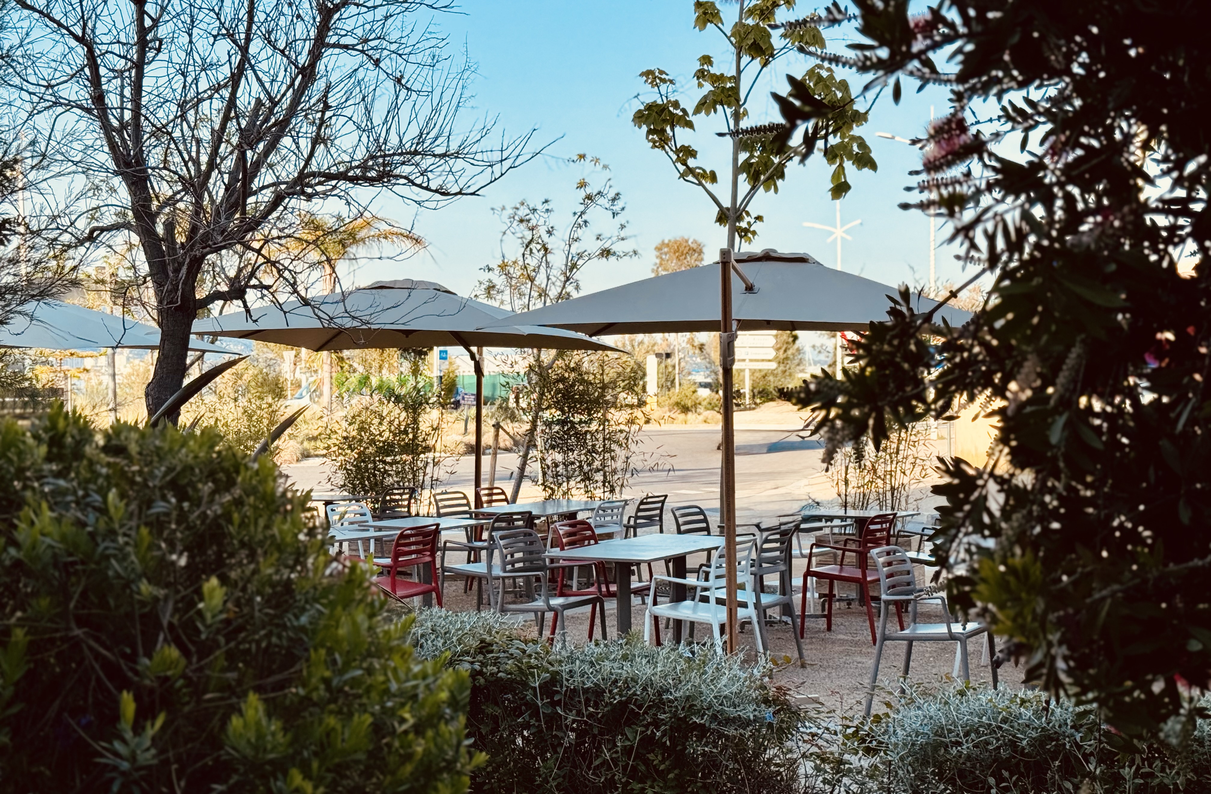 Le Cedrus restaurant libanais Les Sablettes La Seyne sur Mer - Restaurant Le Cedrus