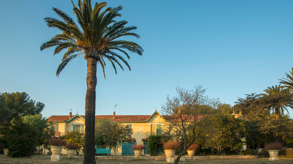 Domaine de l'Almanarre - Domaine de l'Almanarre