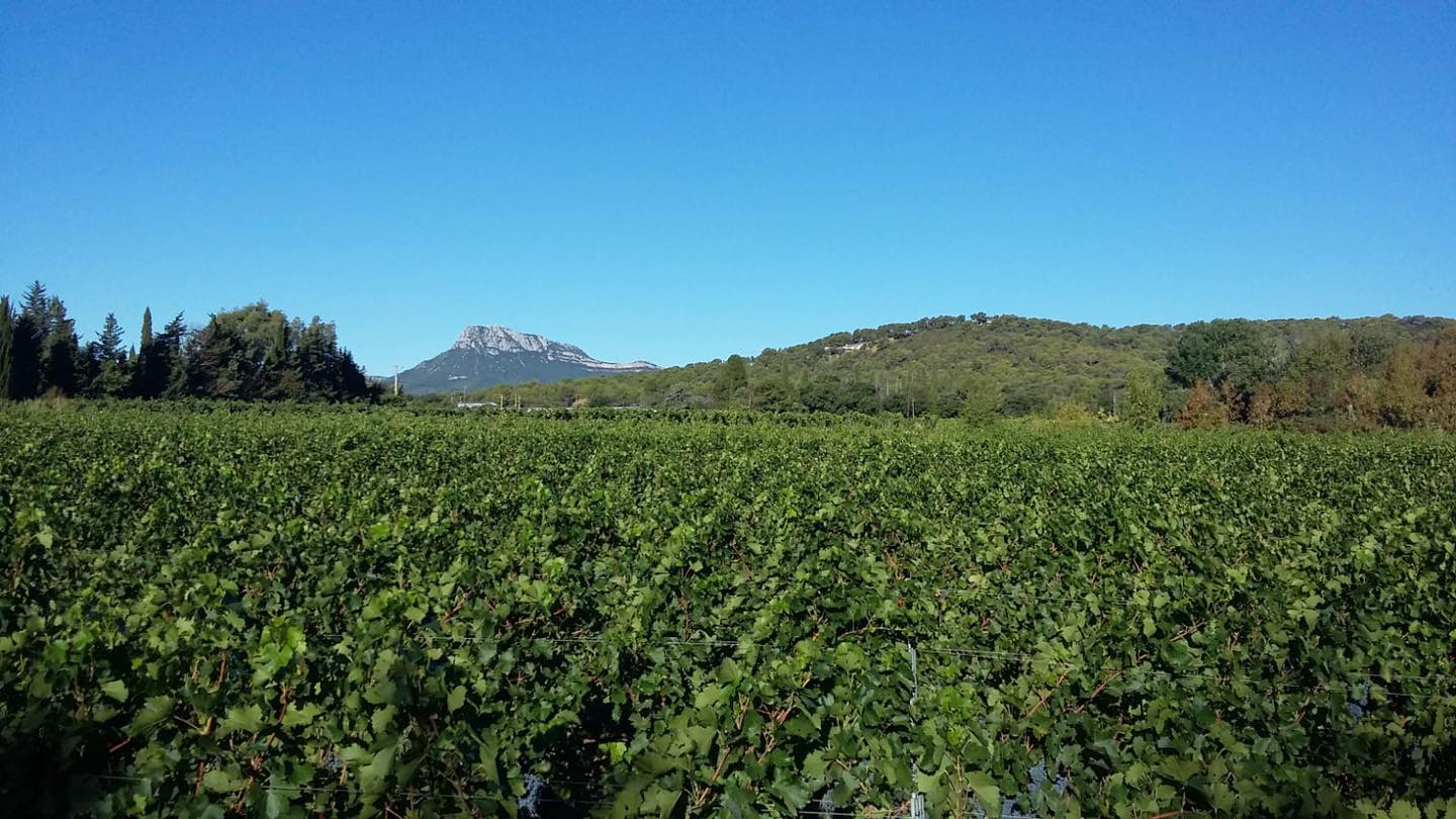 Domaine des Ondes_La Crau - ondes