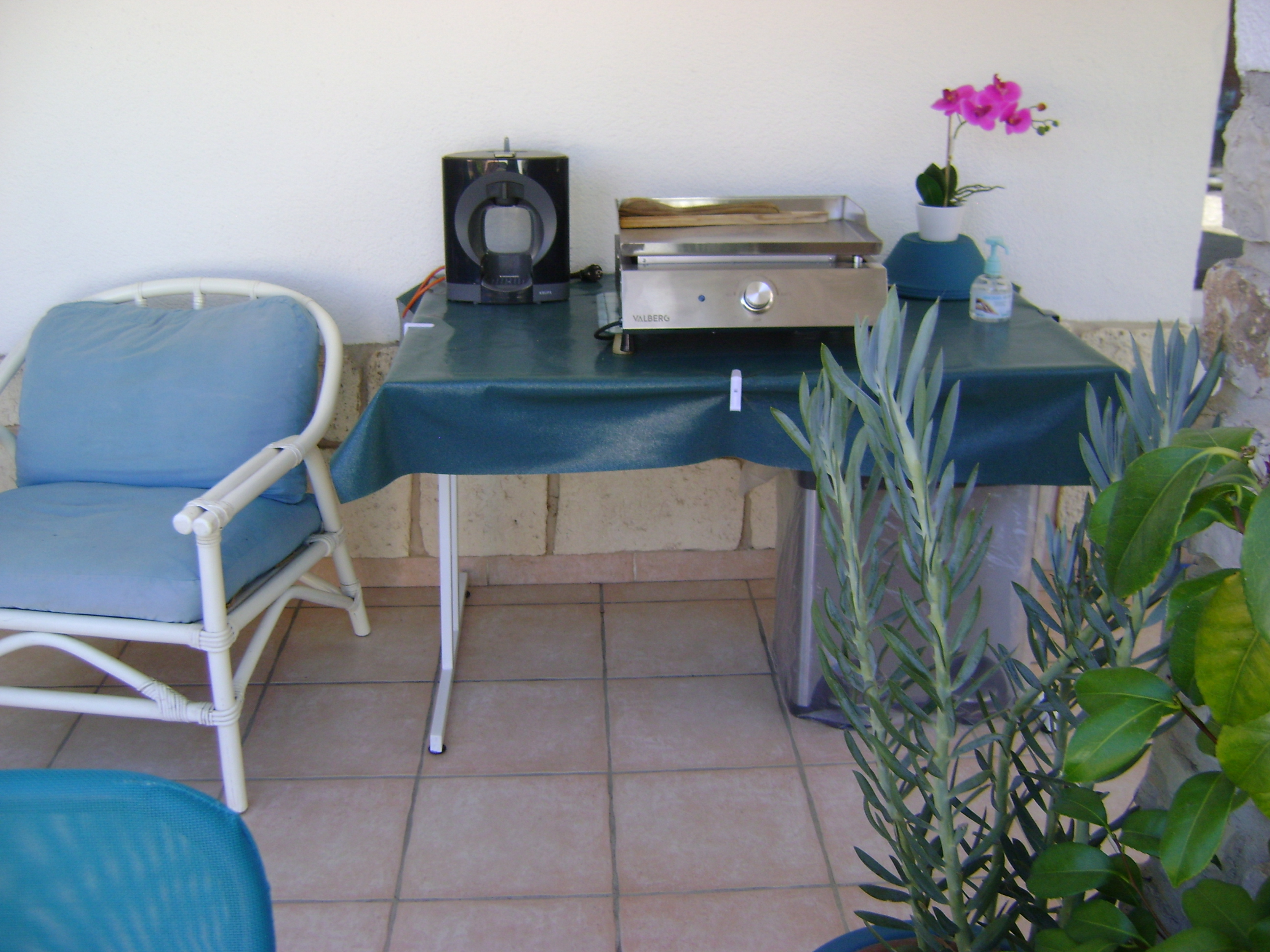 Partie terrasse/ Plancha - Lamant