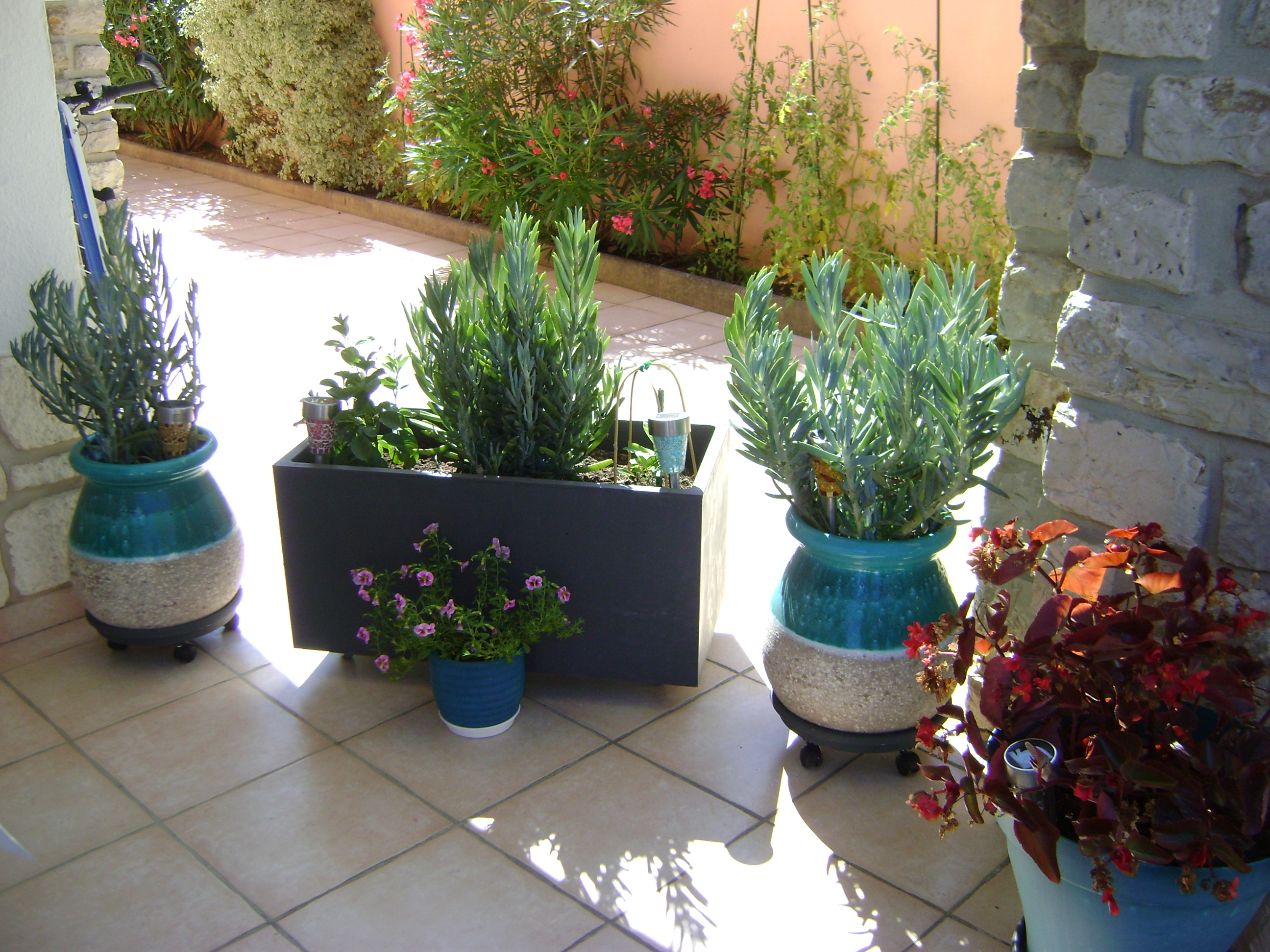 côté terrasse - Lamant