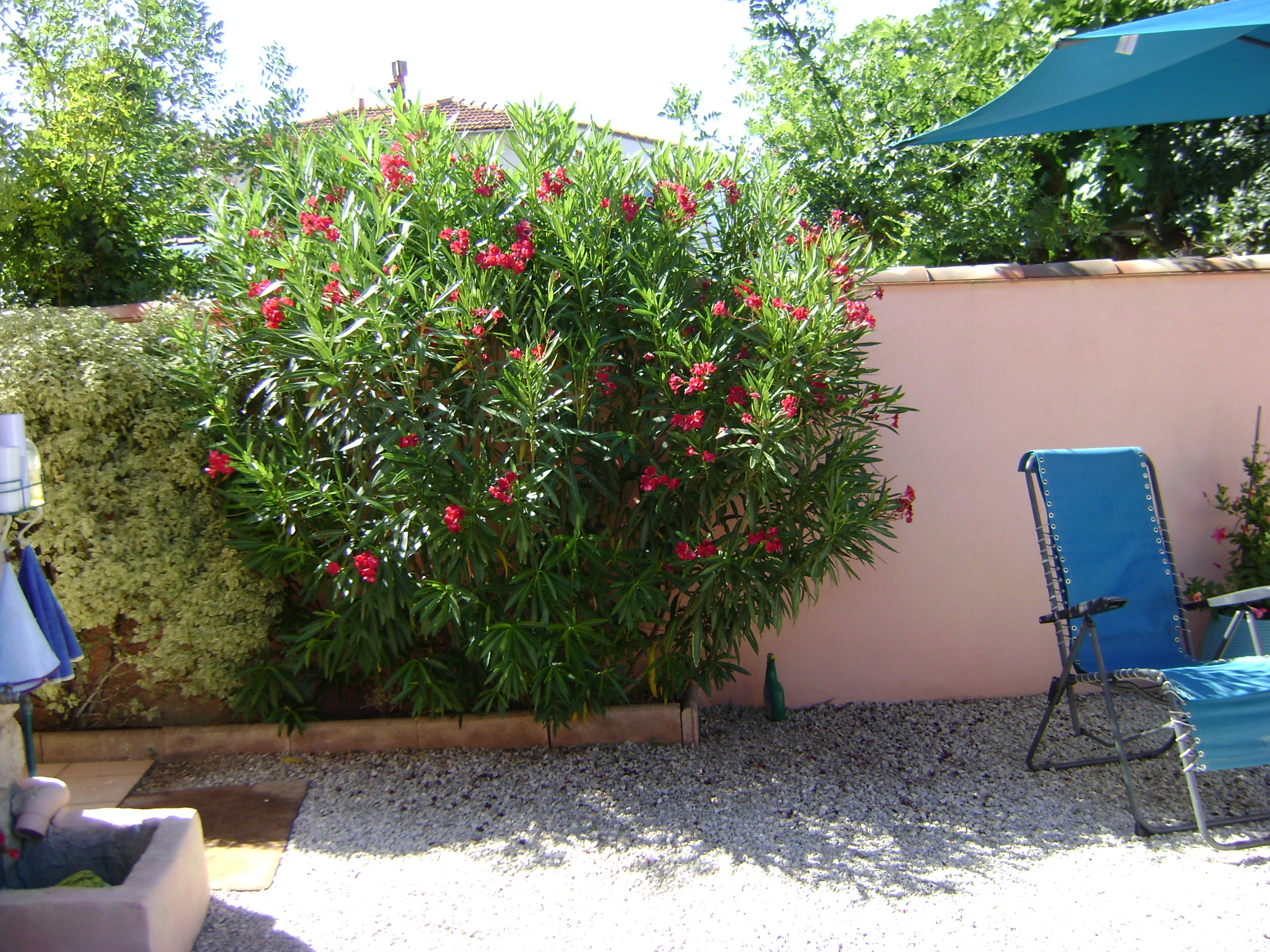 Jardin - Lamant