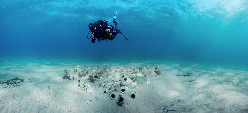 Écran nature : Sous la surface - les trésors vivants de Porquerolles_Hyères - BARRAQUE N.