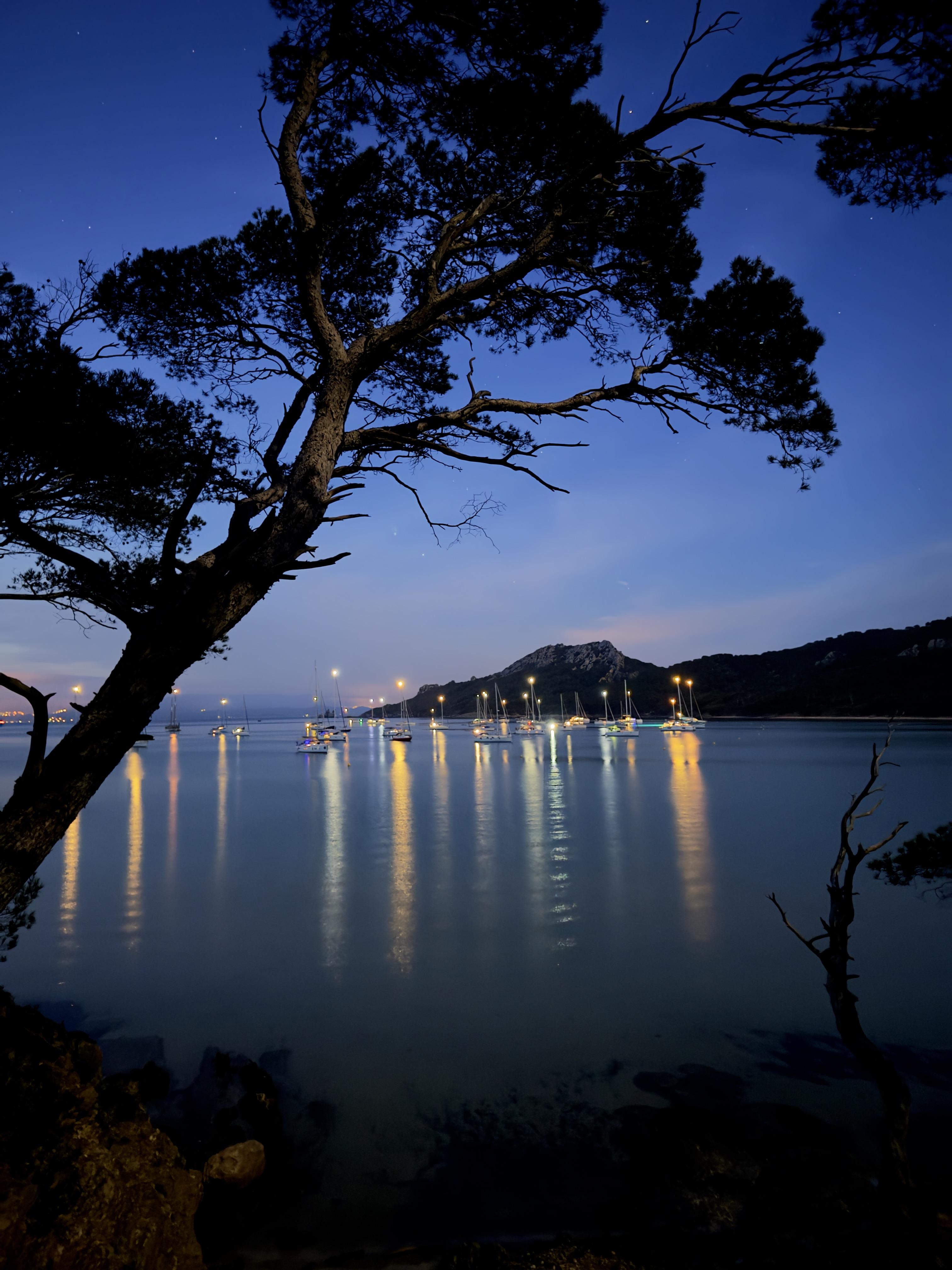 Écran nature : Sous la surface - les trésors vivants de Porquerolles_Hyères - Guichard S.