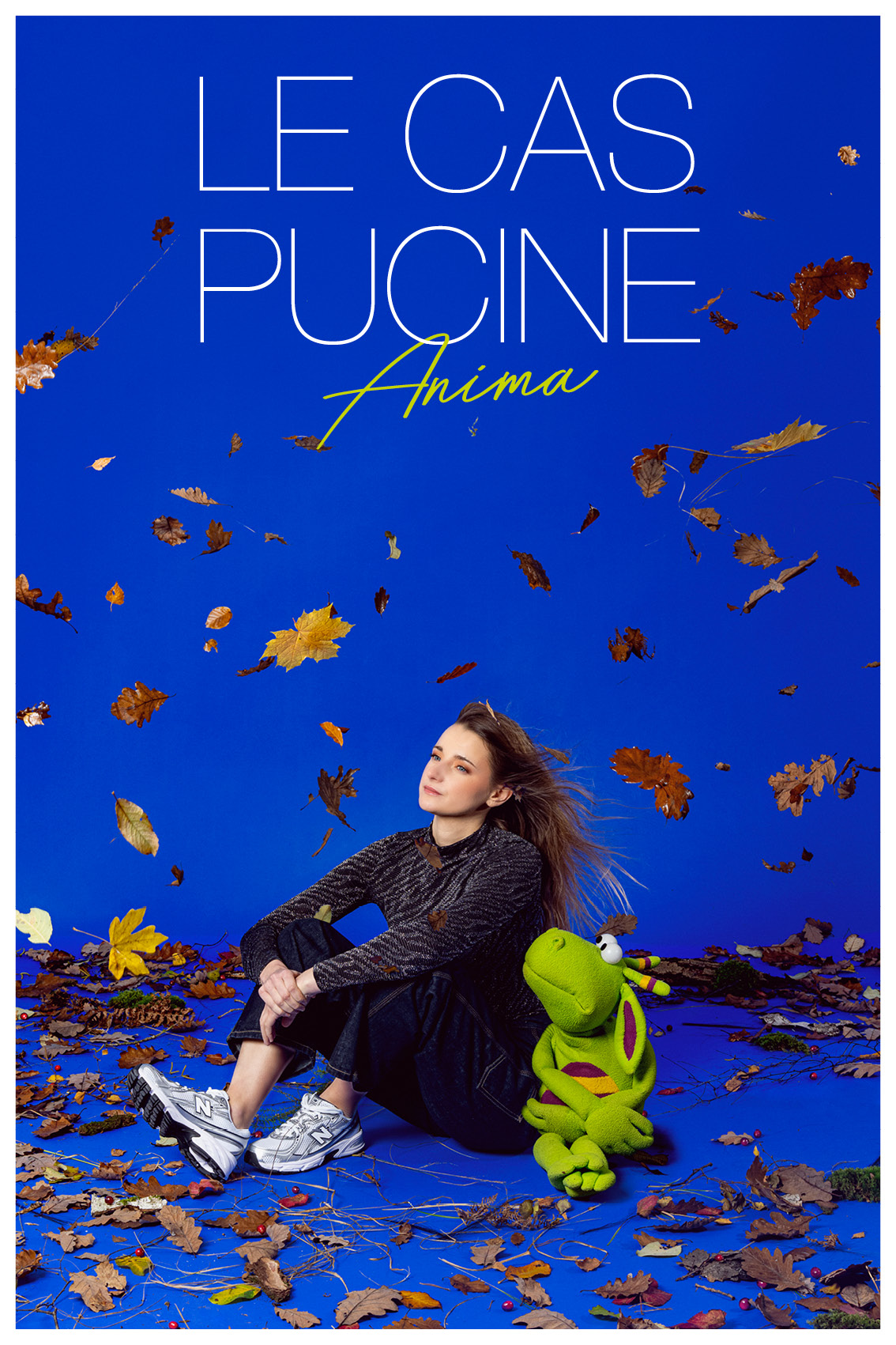 LE_CAS_PUCINE_AFFICHE_RVB - DR / Théâtre Le Colbert