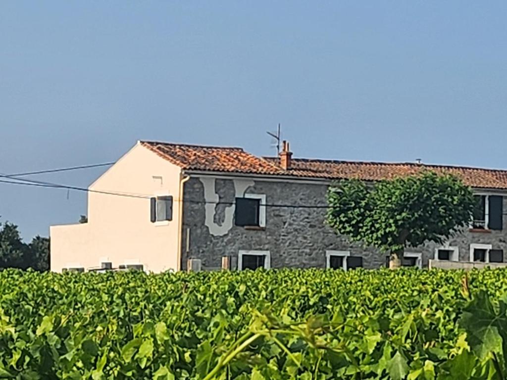 Appartement - T3 le Pub - 4 personnes_La Crau - le mas d'harry