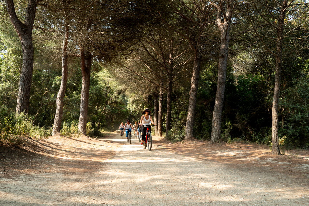 Traversée bateau + location de VTT à Porquerolles_Hyères - Provence Méditerranée - Laurent Parienti
