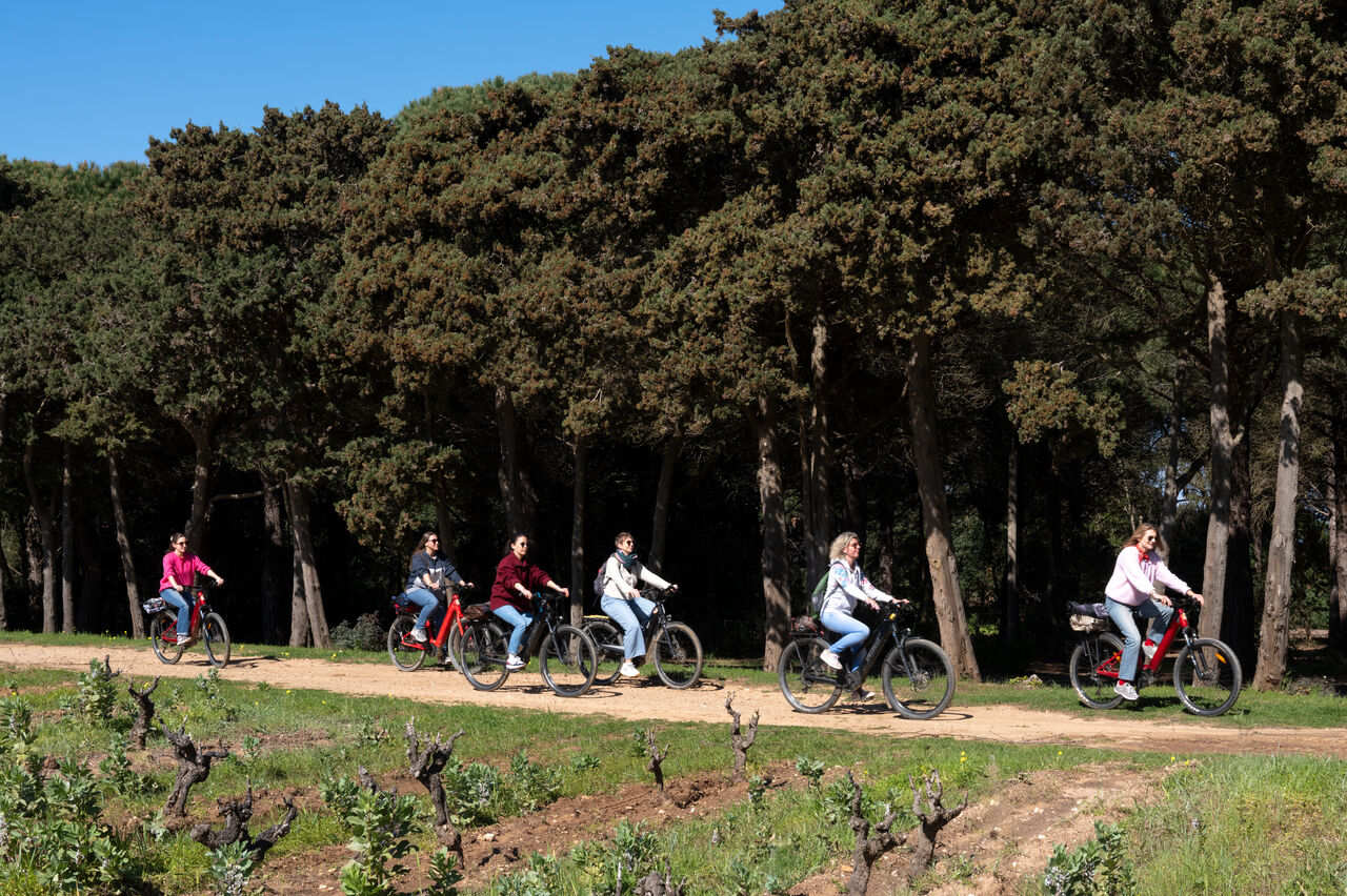 Traversée bateau + location de VTT à Porquerolles_Hyères - Provence Méditerranée - Laurent Parienti