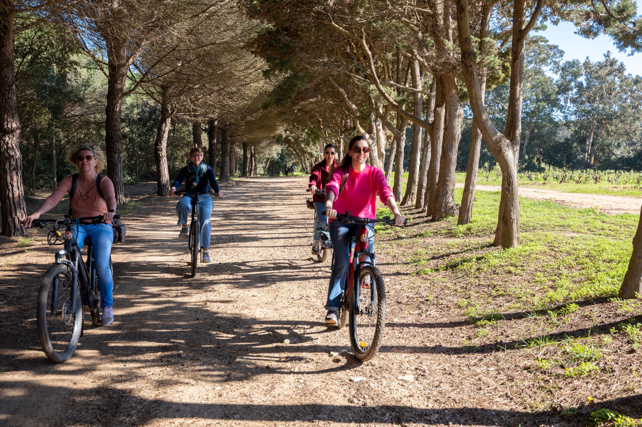 Traversée bateau + location de VTT à Porquerolles_Hyères - Provence Méditerranée - Laurent Parienti