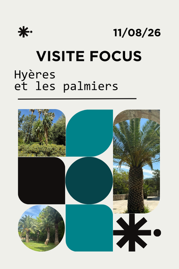 Focus : Hyères et les palmiers_Hyères - CIAP