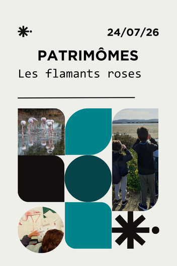 Patrimômes - Les flamants roses_Hyères - CIAP