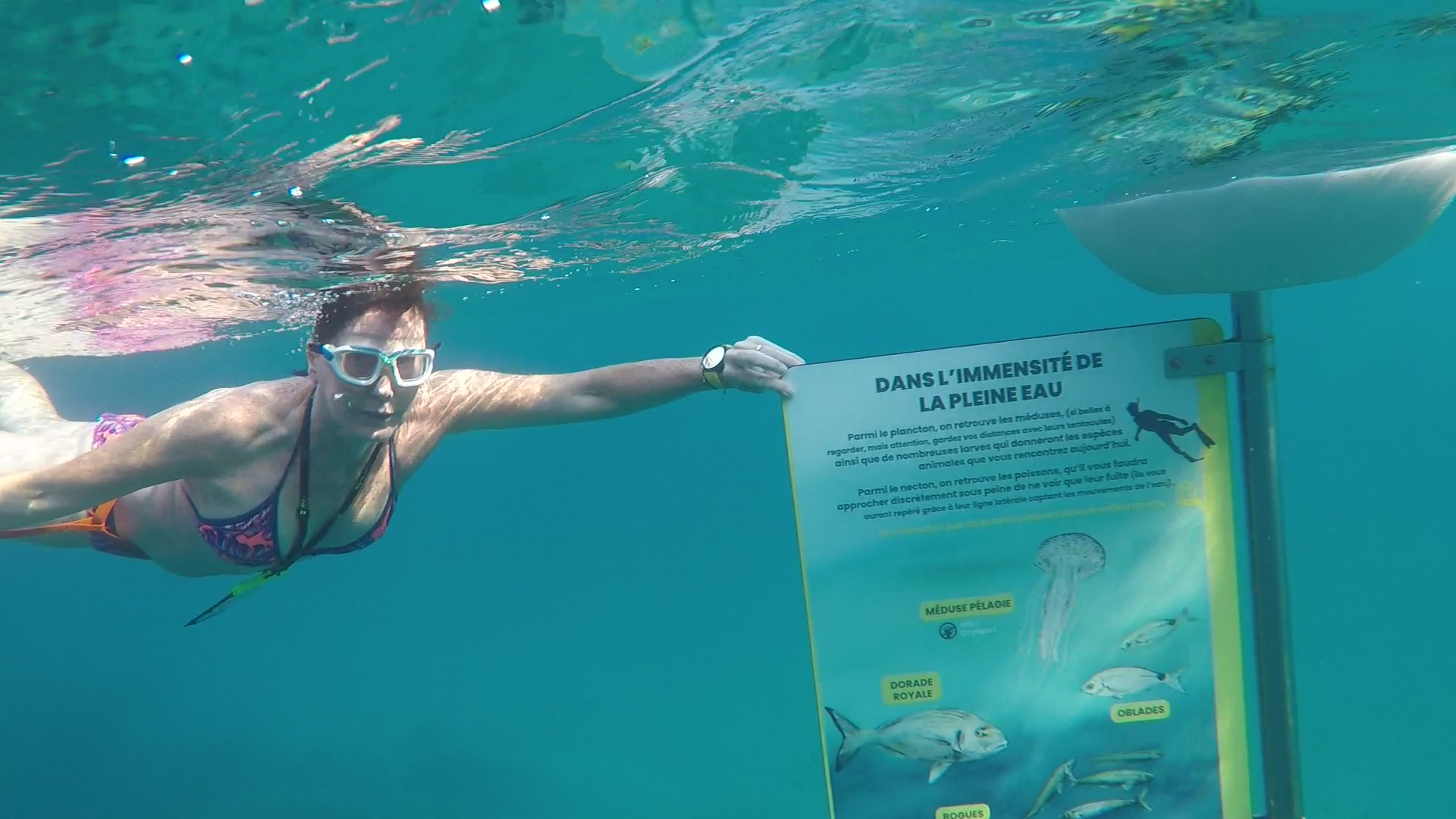 Dans l'immensité de la pleine eau - Provence Méditerranée