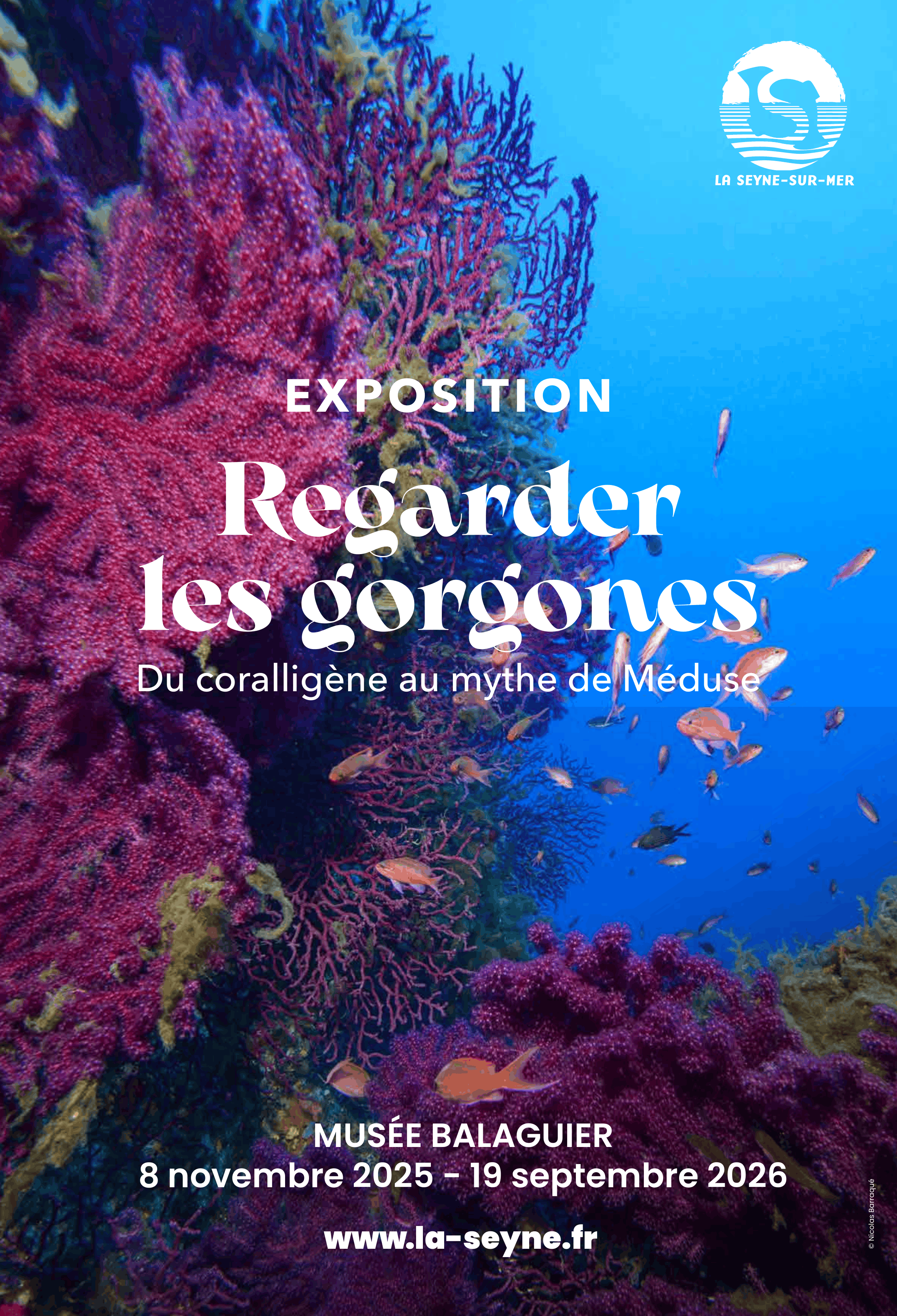Expo annuelle "Regarder les gorgones"_La Seyne-sur-Mer - DR / Mairie de La Seyne sur Mer