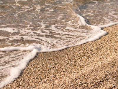 Les pieds dans l’eau by l’Institut océanographique Paul Ricard - ©Société Paul Ricard / Île des Embiez