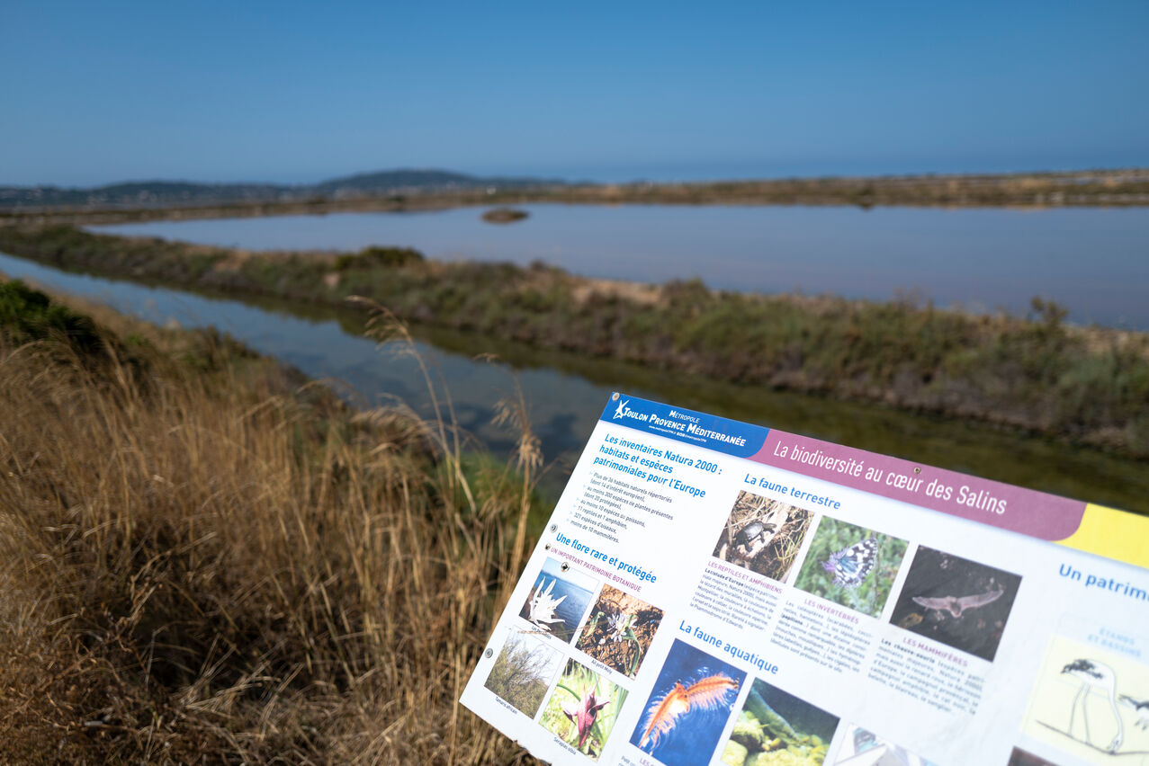 Sentier du littoral – Balade du Salin de Pesquiers aux Vieux Salins_Hyères - Laurent Parienti
