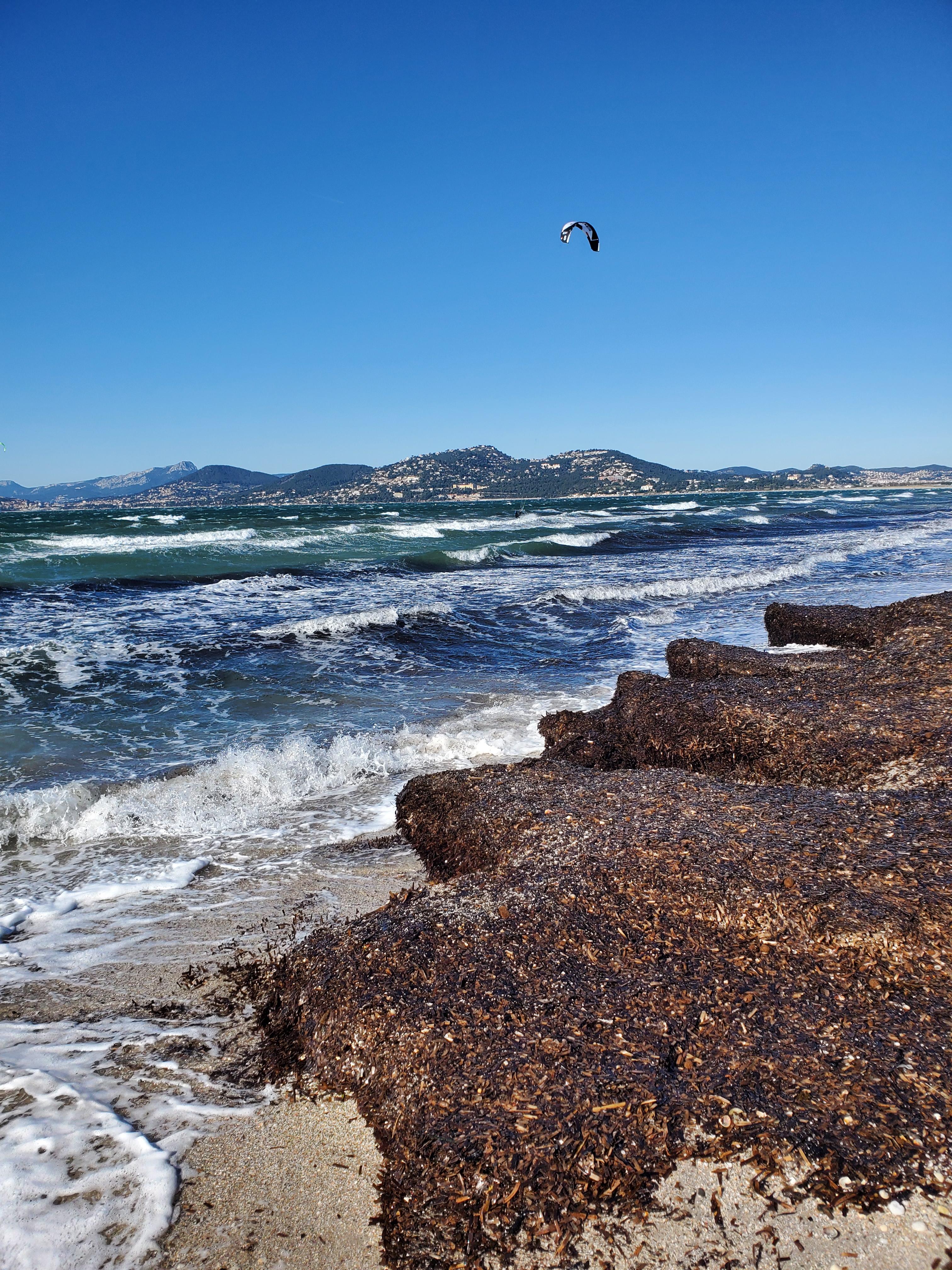 Nos-plages-vivantes - CIETM