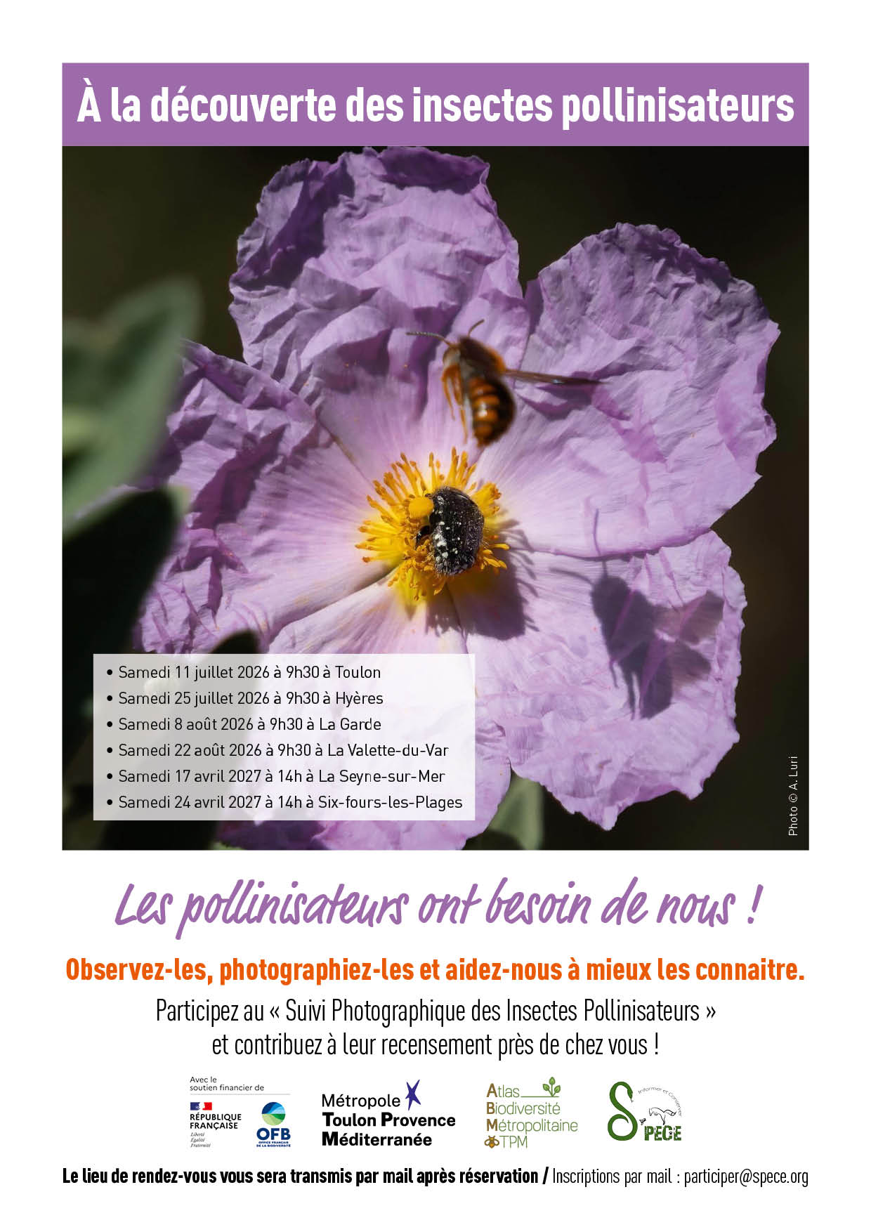 AFFICHES Découverte A4 V052 - DR / TPM