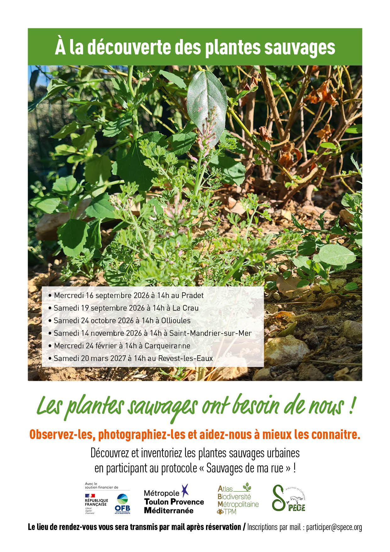 AFFICHES Découverte A4 V055 - DR / TPM