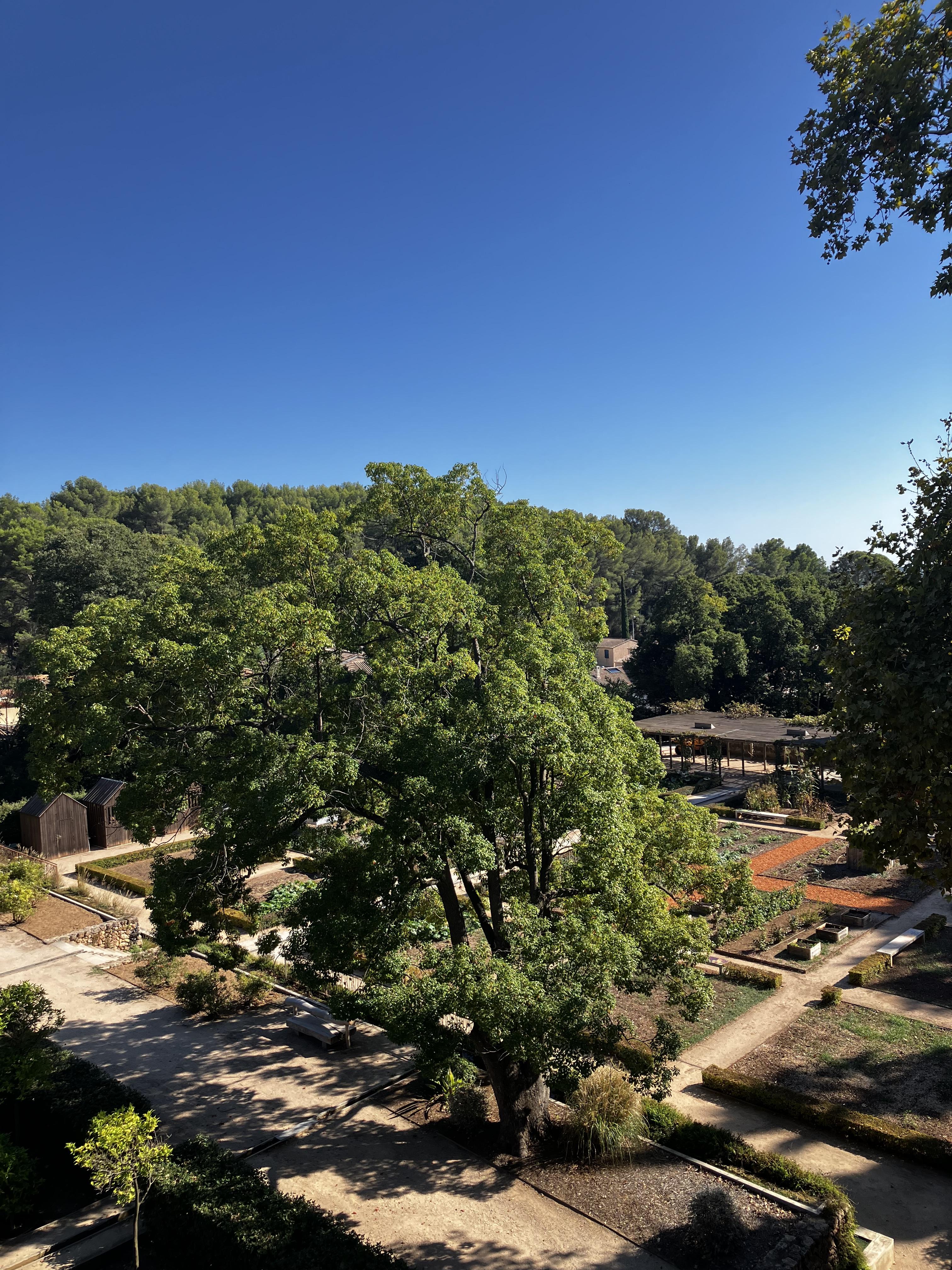 vue du jardin - © JBaudouvin