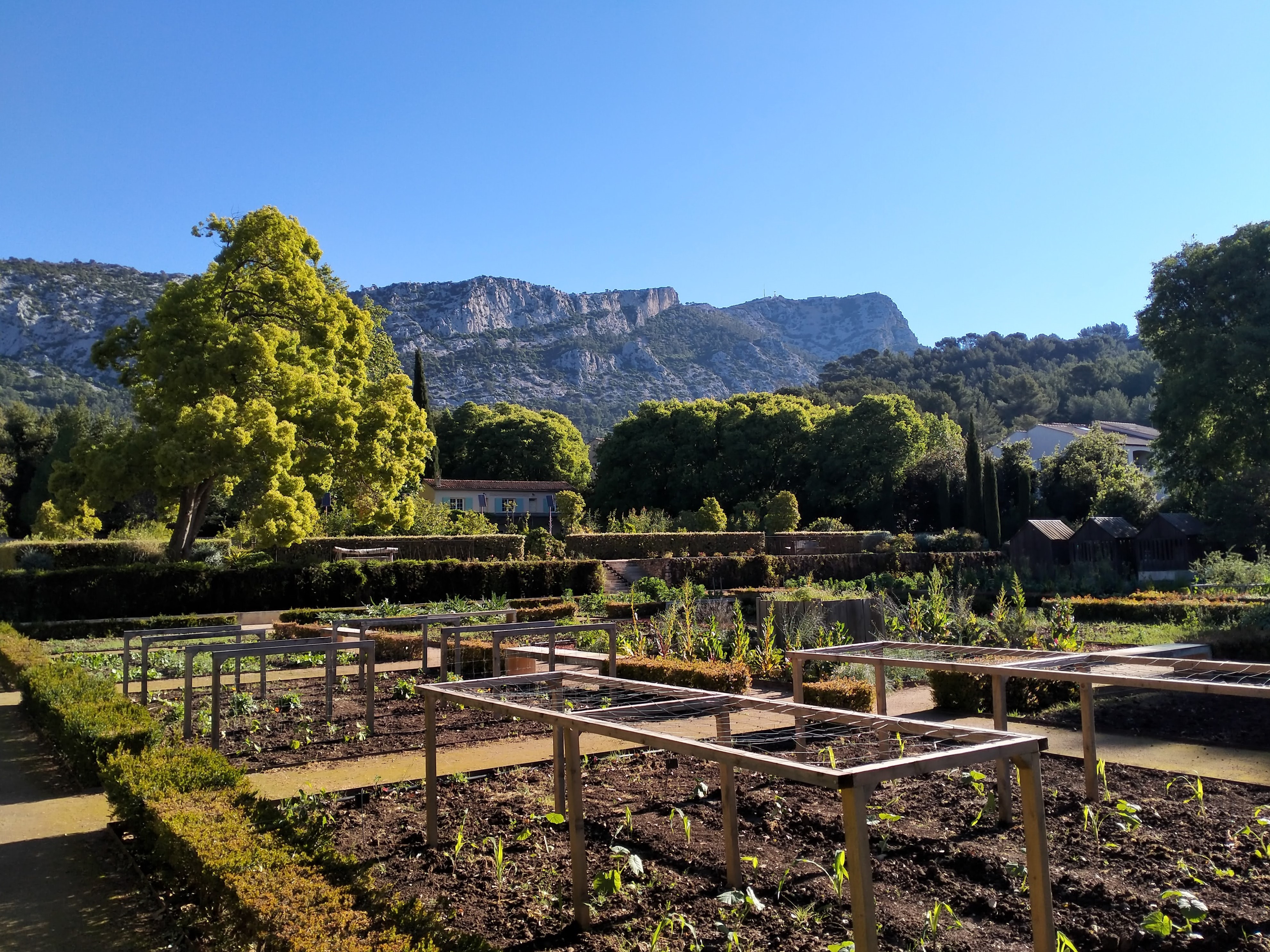 le potager - © JBaudouvin