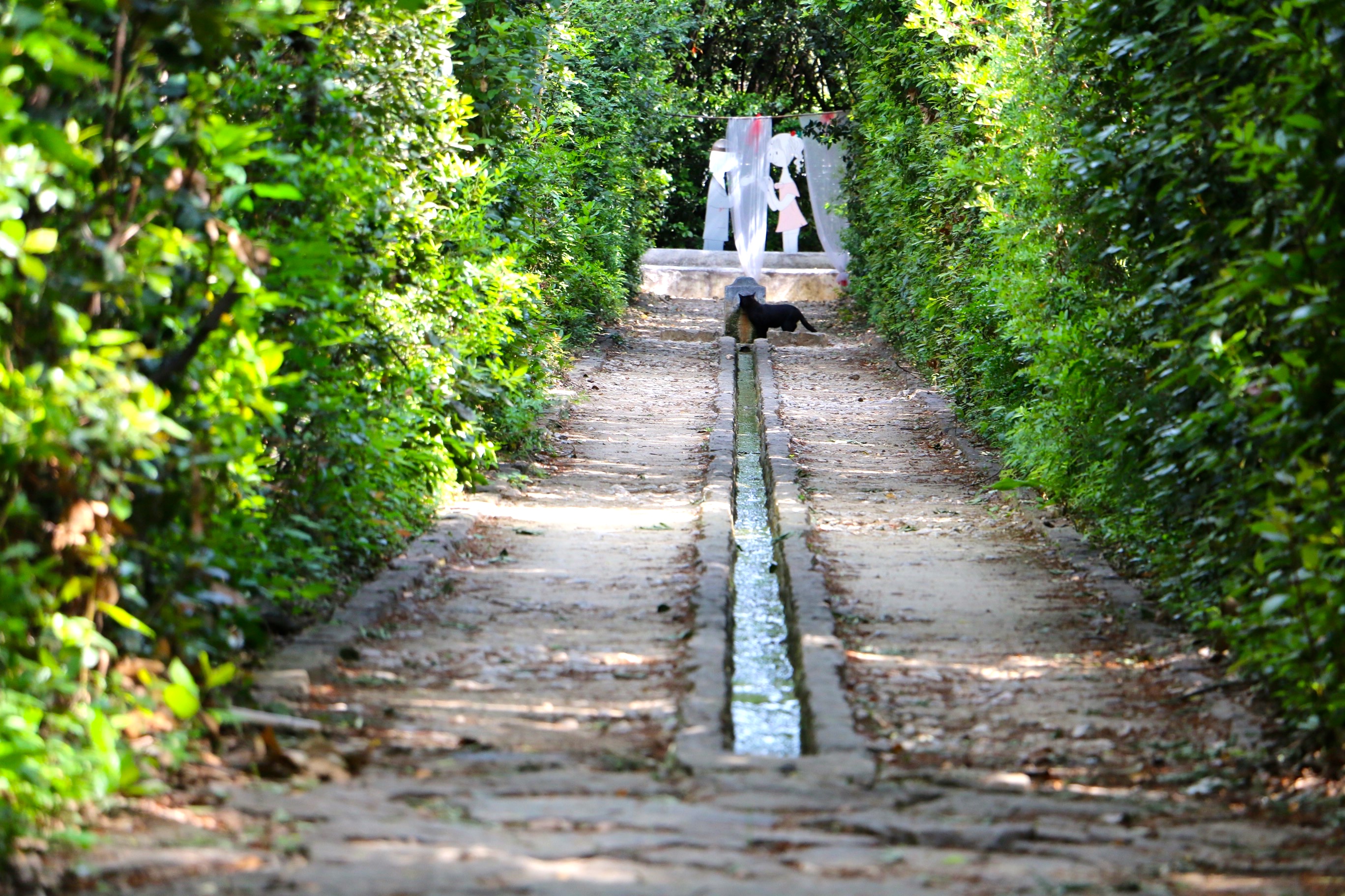 Jardin de Beaudouvin  - La Téso - ©sandrinew
