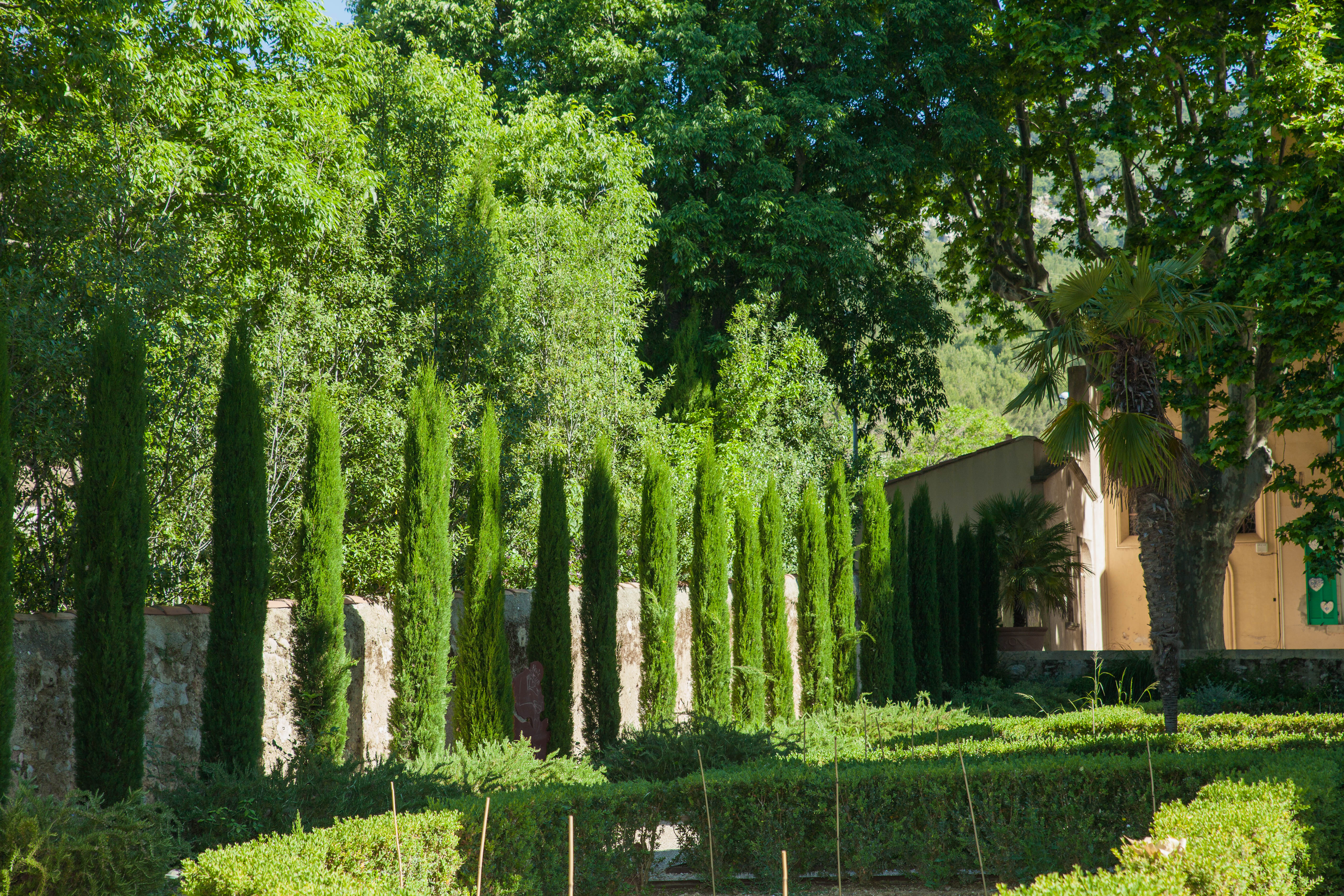 Jardin de Beaudouvin  - Les cyprès - ©AndréM