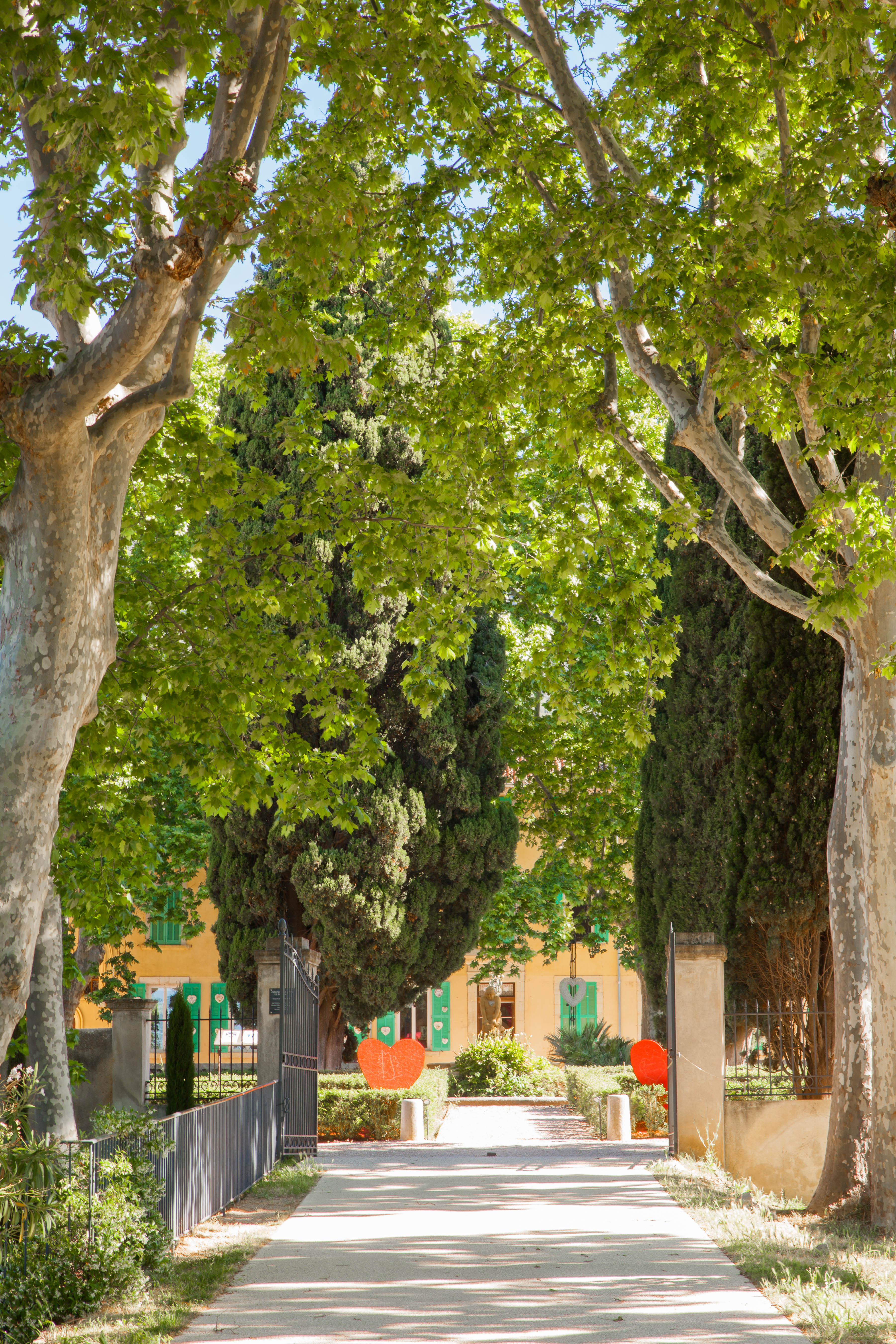 Jardin de Beaudouvin  - Allée des platanes - ©sandrinew