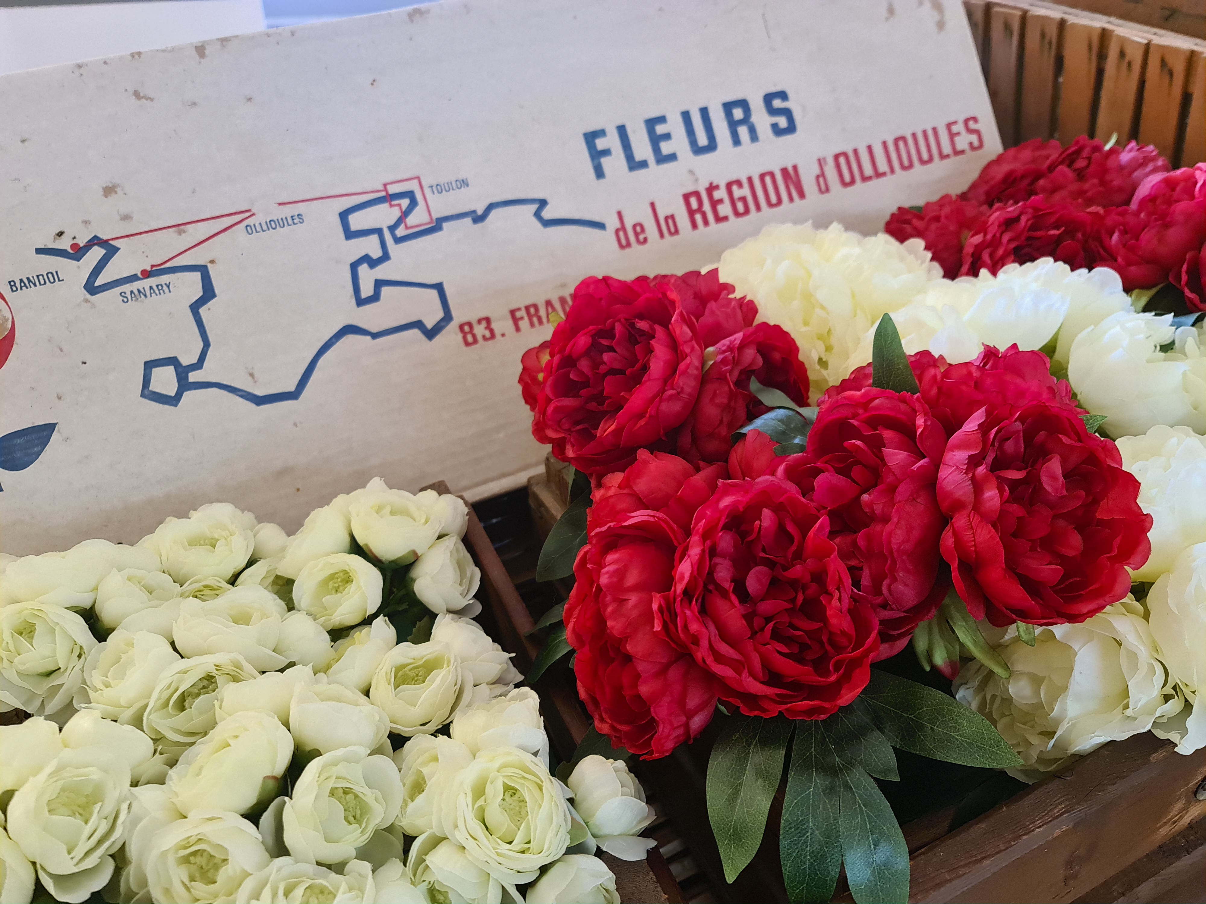 Visite commentée du Musée de la Fleur et de l'Olivier - Romyfone