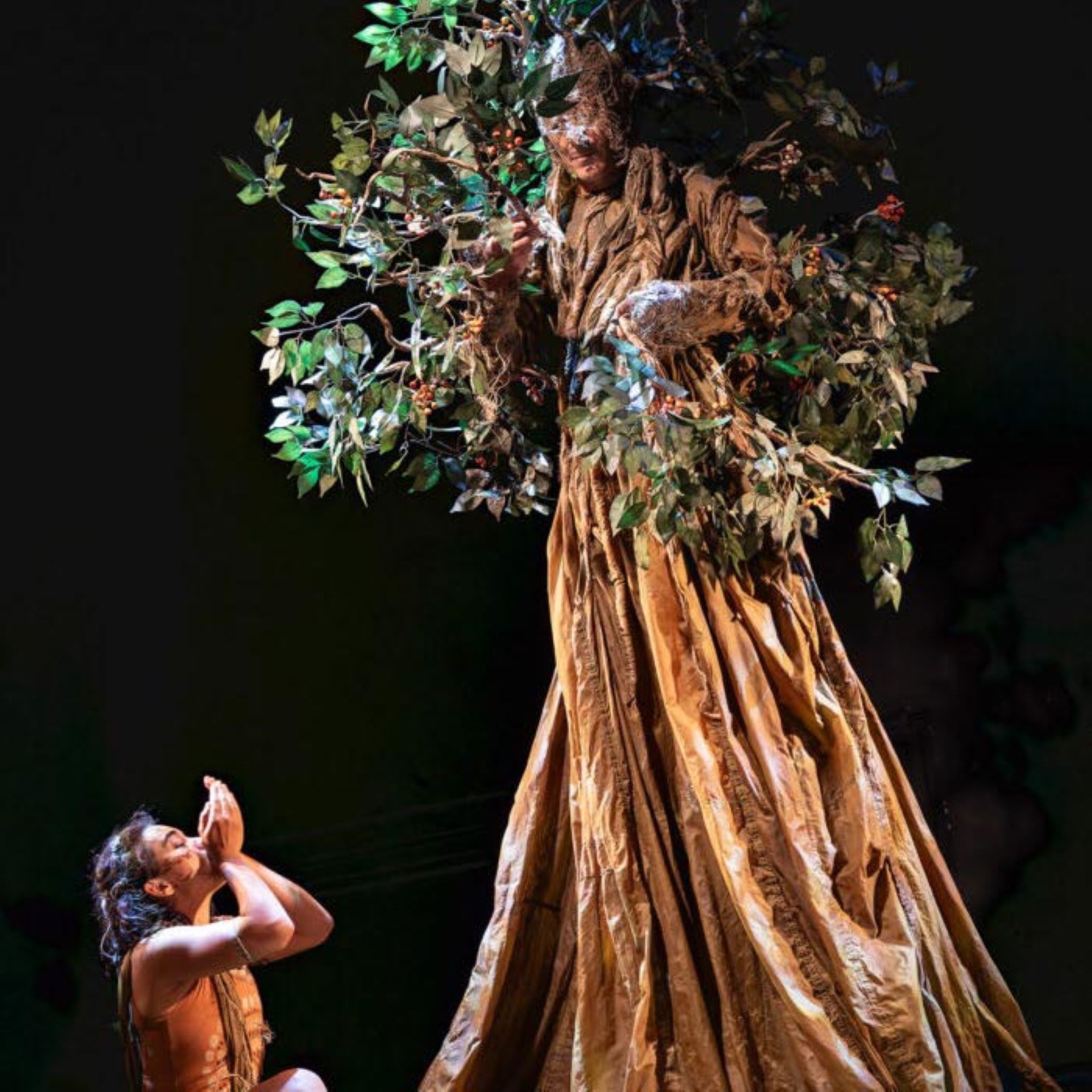 L'enfant de l'arbre_Hyères - Compagnie Lé La