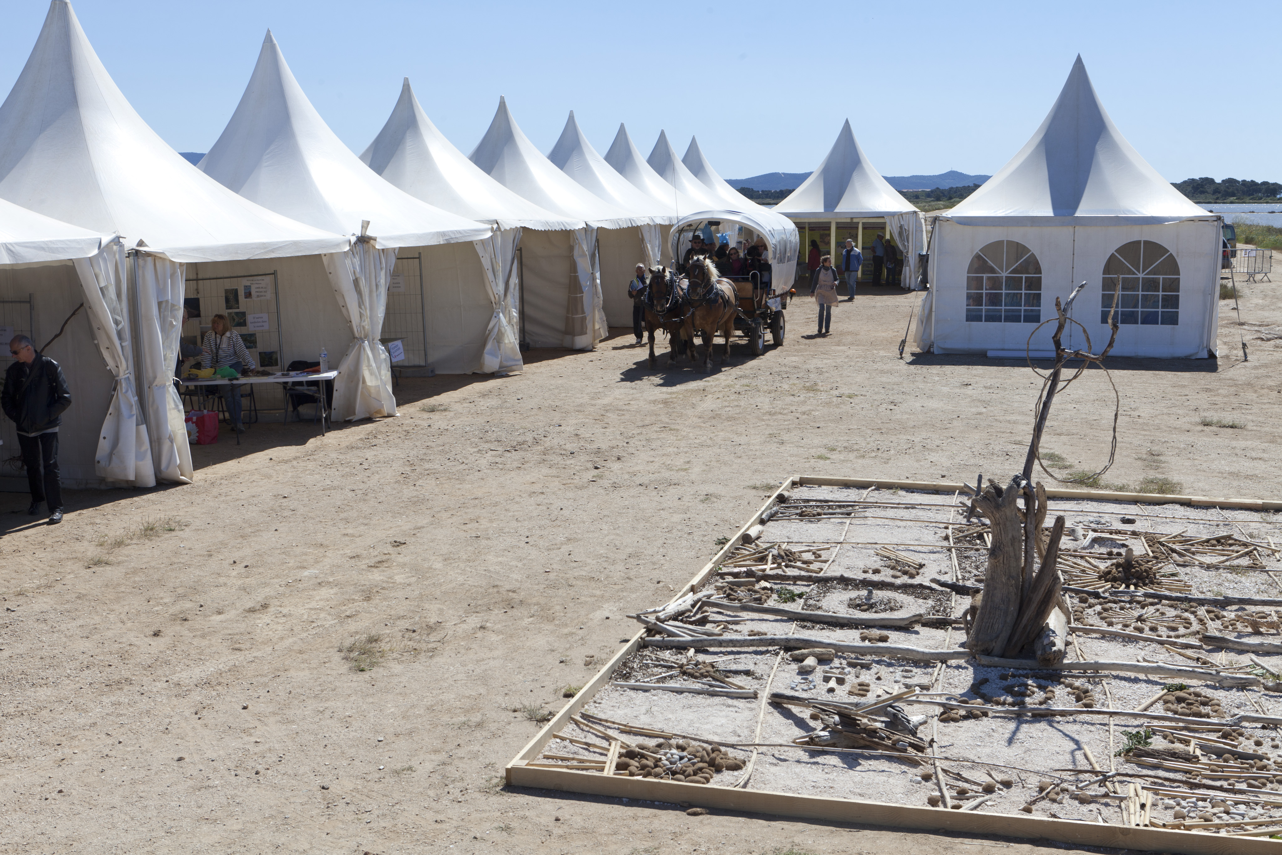 La fête du sel 2026 à La Capte (salins des Pesquiers)_Hyères - TPM