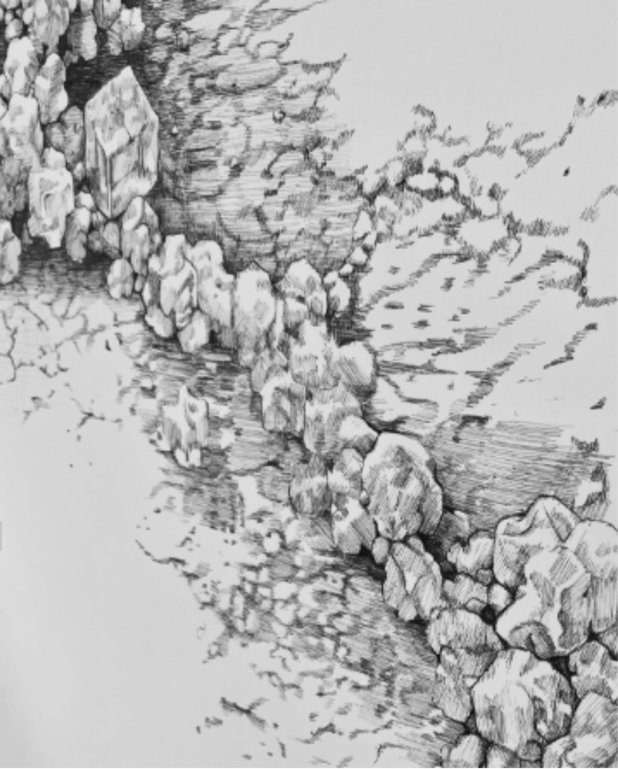 Vestige, Trame, Germe, Seuil, été 2026 Dessins au stylo bille sur papier - Gabriel Tabournel