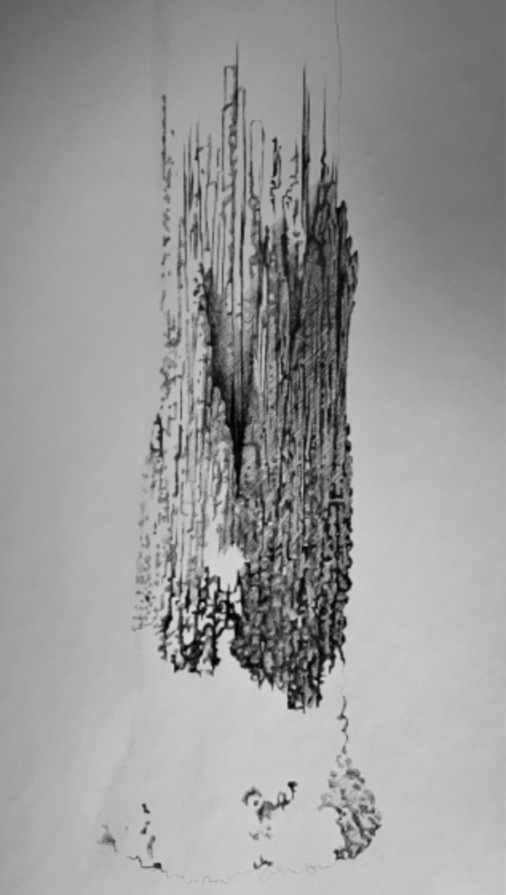 Vestige, Trame, Germe, Seuil, été 2026 - Gabriel Tabournel