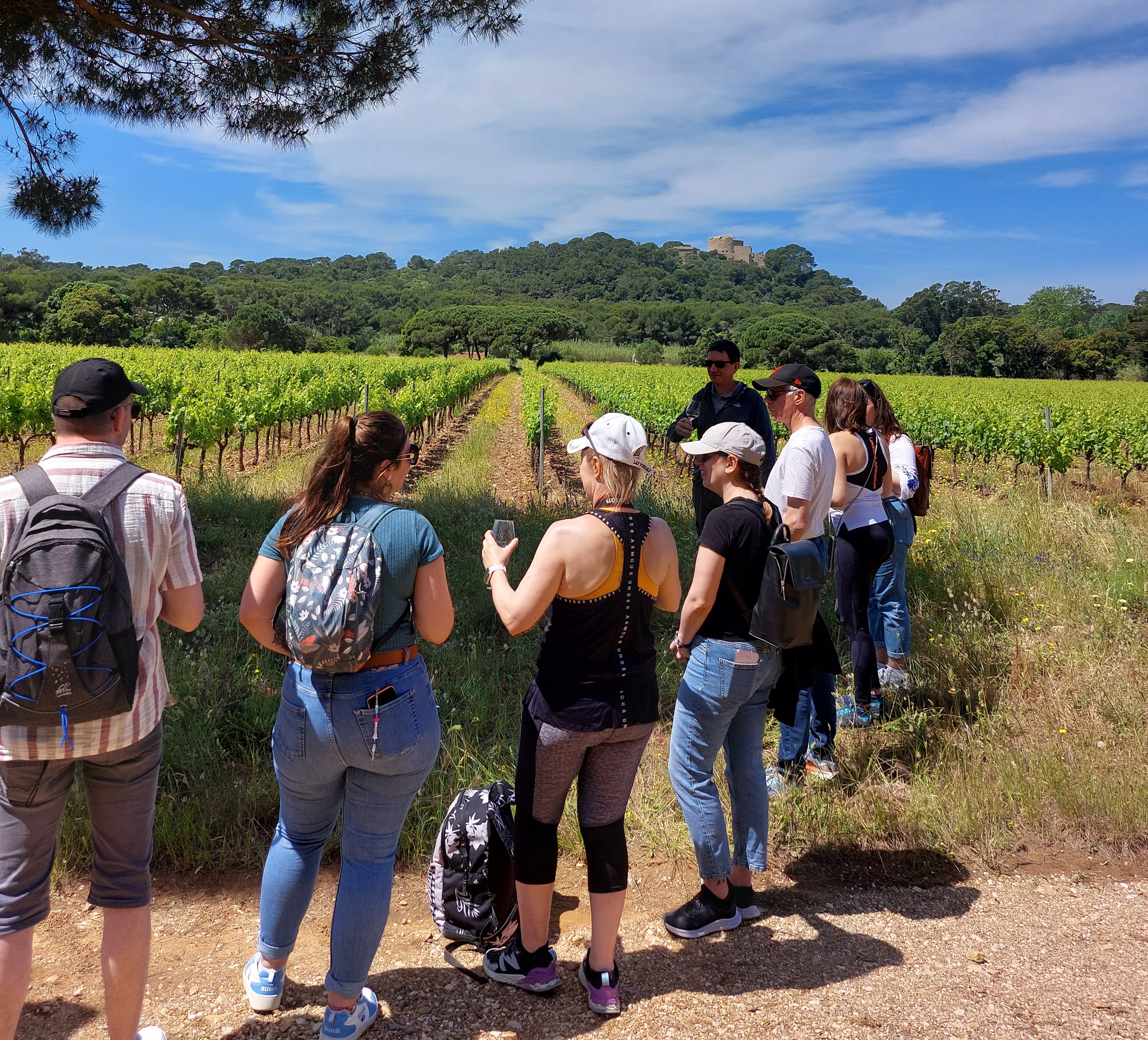 Balade oeno-sensorielle au domaine de la Courtade_Hyères - @Domainedelacourtade