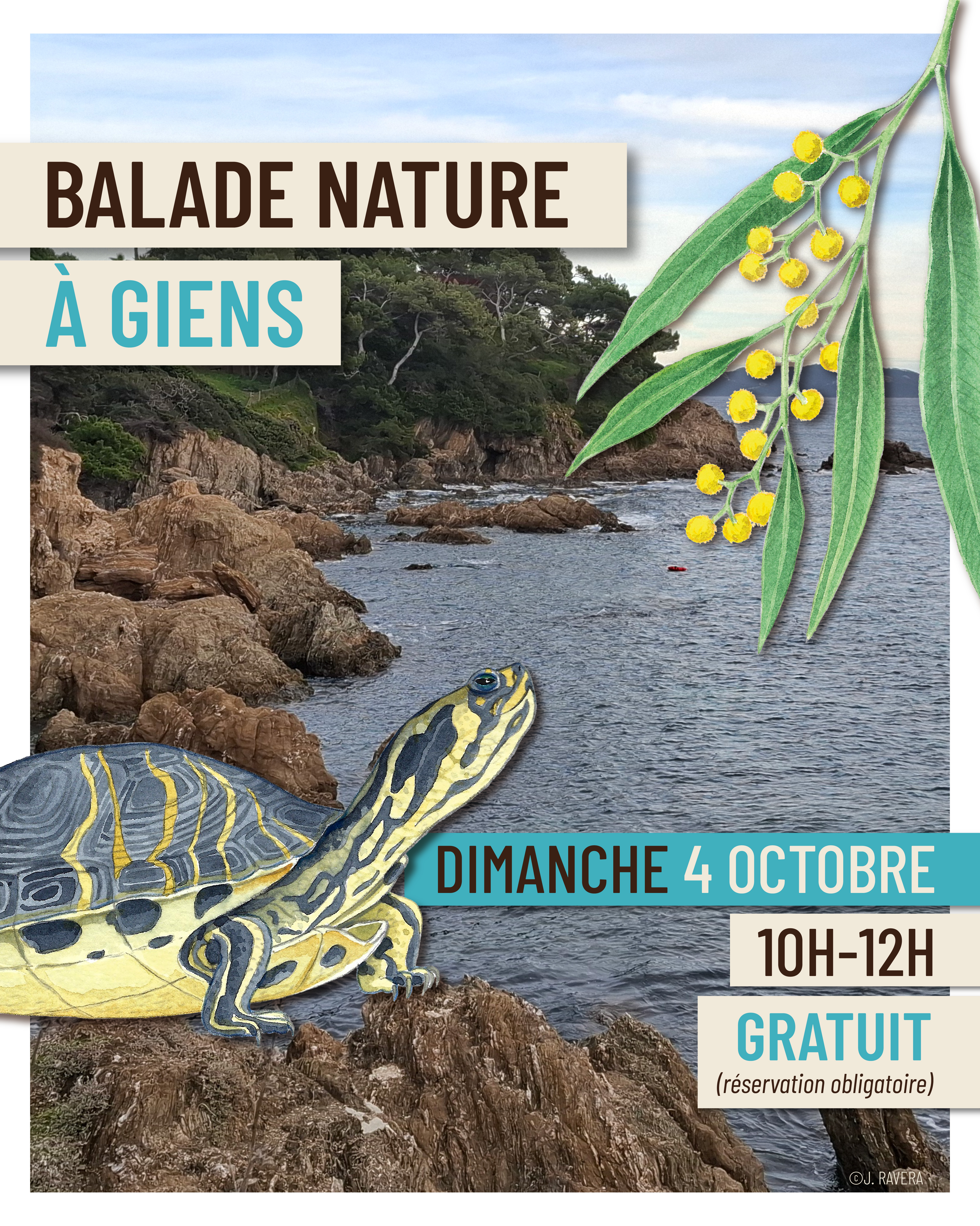 Balade nature à Giens - Faune et flore d'ici... et d'ailleurs_Hyères - CIETM/CBN