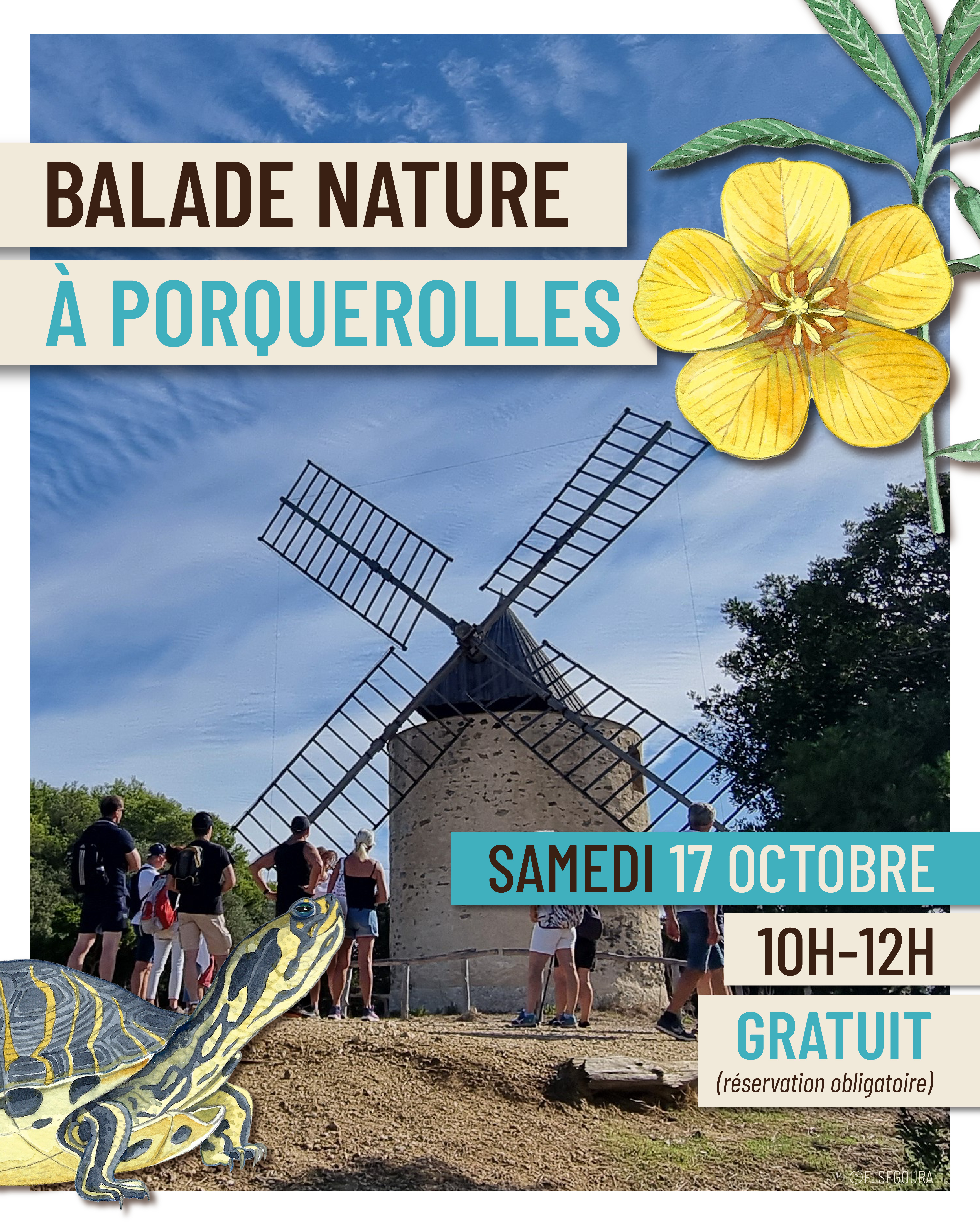 Balade nature à Porquerolles - Faune et flore d'ici... et d'ailleurs_Hyères - CIETM/CBN