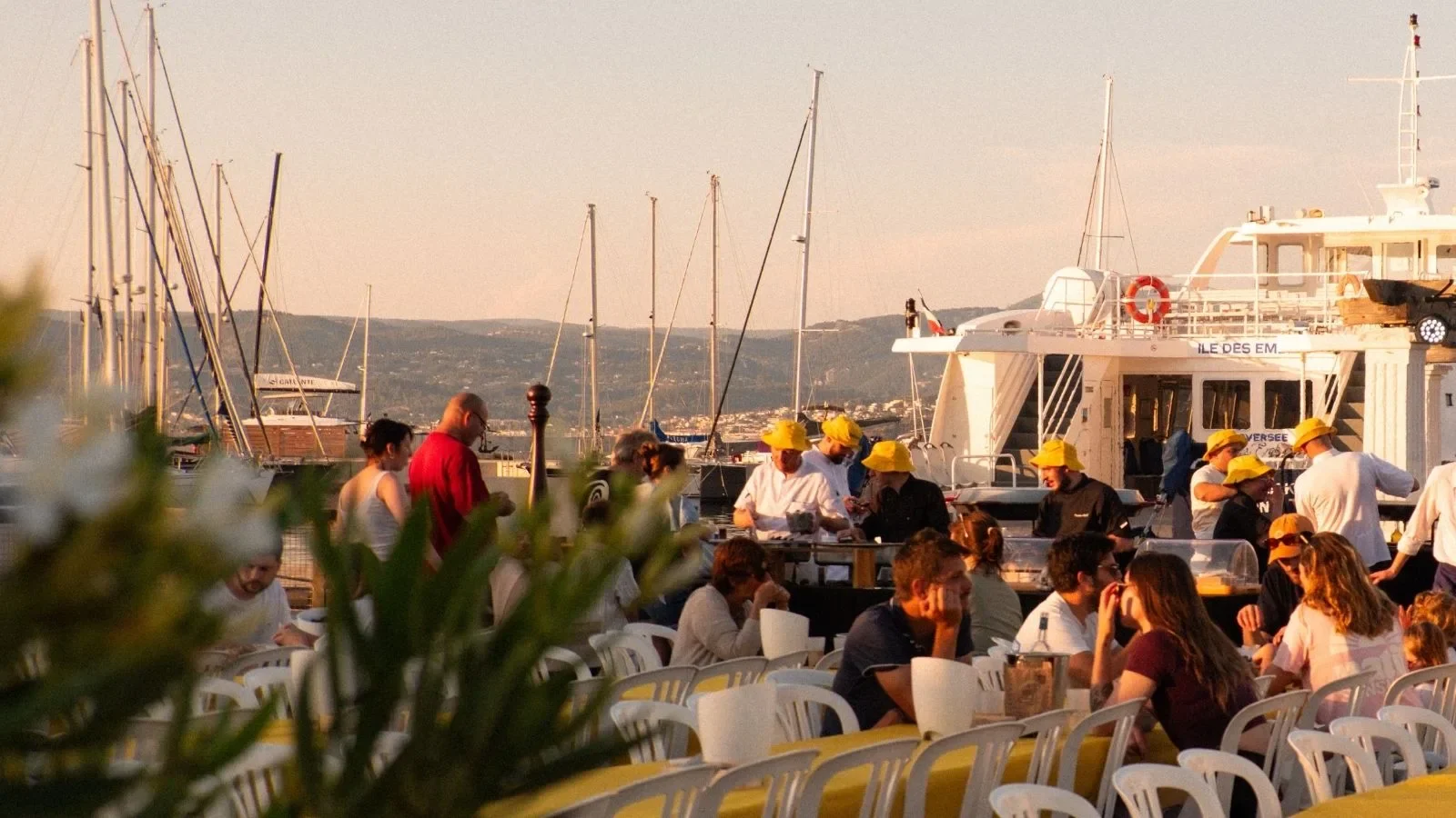 La Sardinade - ©Société Paul Ricard / Île des Embiez