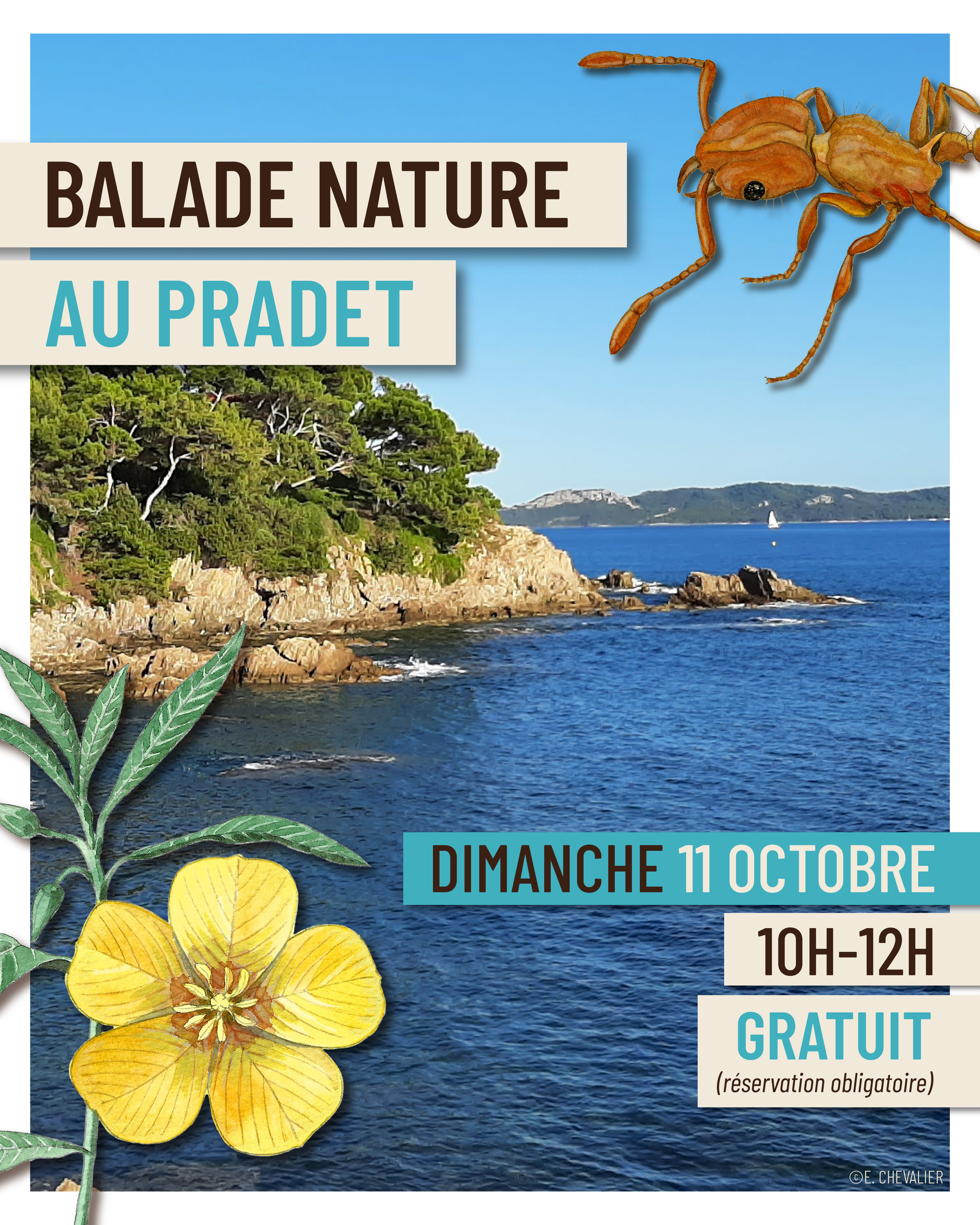 Balade et atelier peinture au Pradet - Faune et flore d'ici... et d'ailleurs_Le Pradet - CIETM/CBN