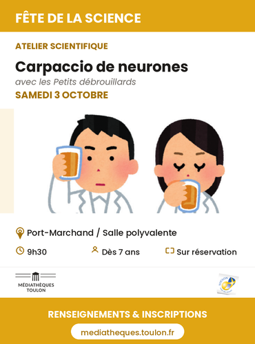 Jeune public - Atelier scientifique "Carpaccio de neurones"_Toulon - DR / Médiathèques de Toulon