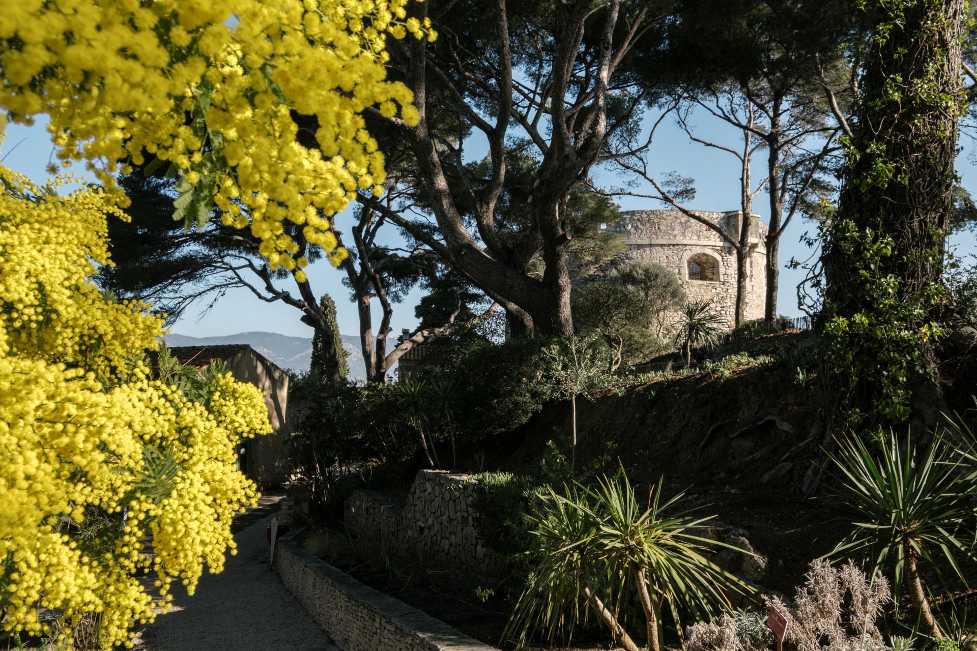 Entrée au Musée Balaguier_La Seyne-sur-Mer - Laurent Parienti