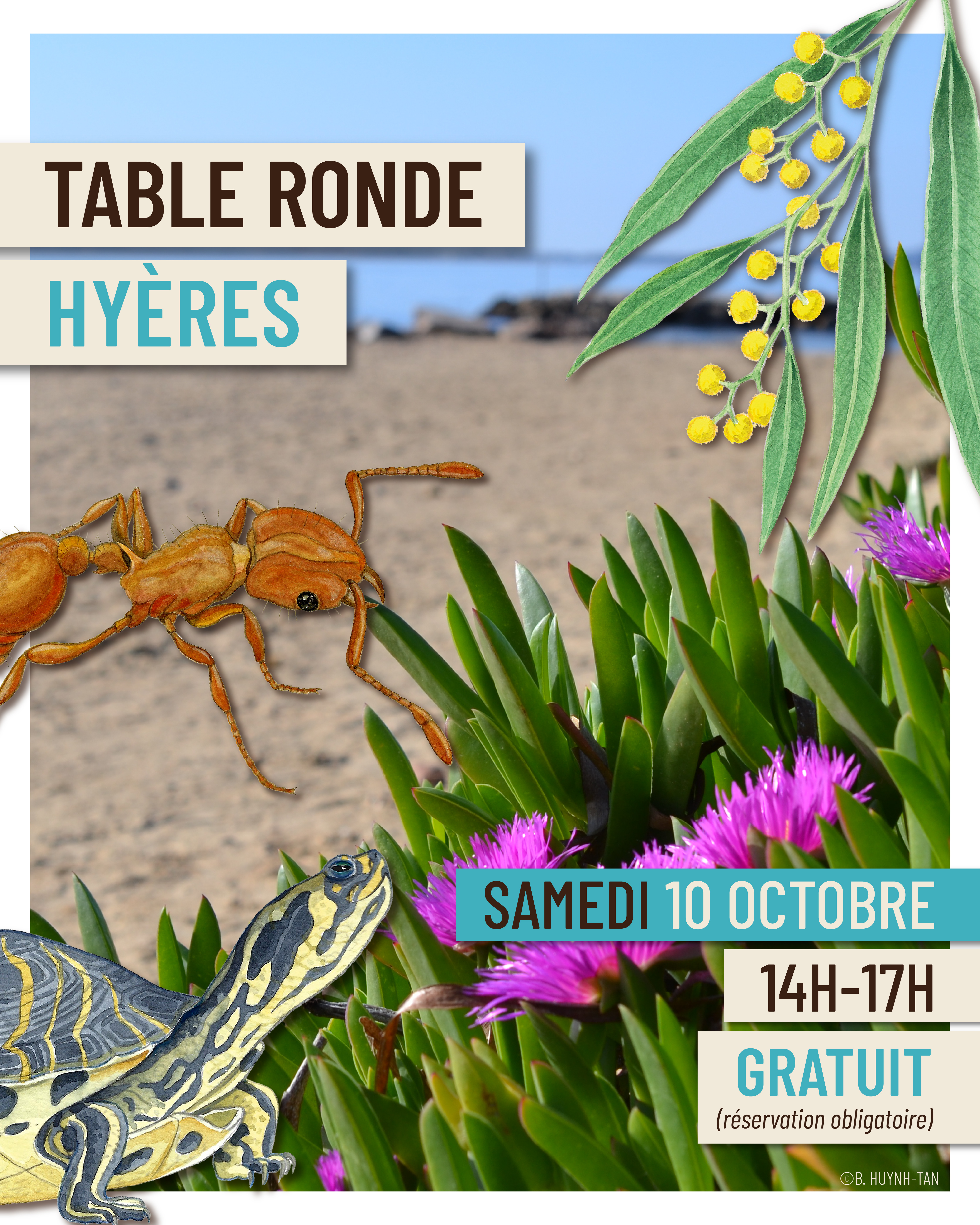 Table ronde - CBNMed